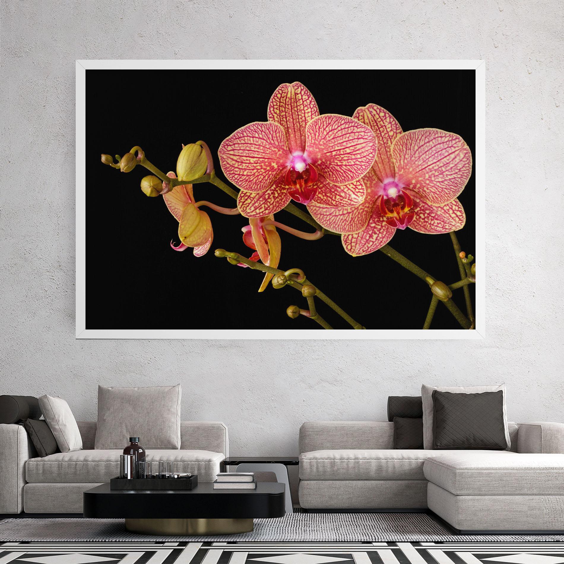 Vászonkép Pink Orchids On Black mockup 2