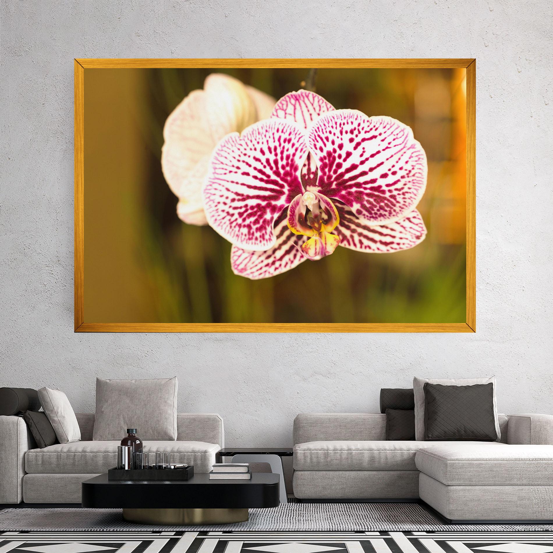 Vászonkép Garden Orchids mockup 2