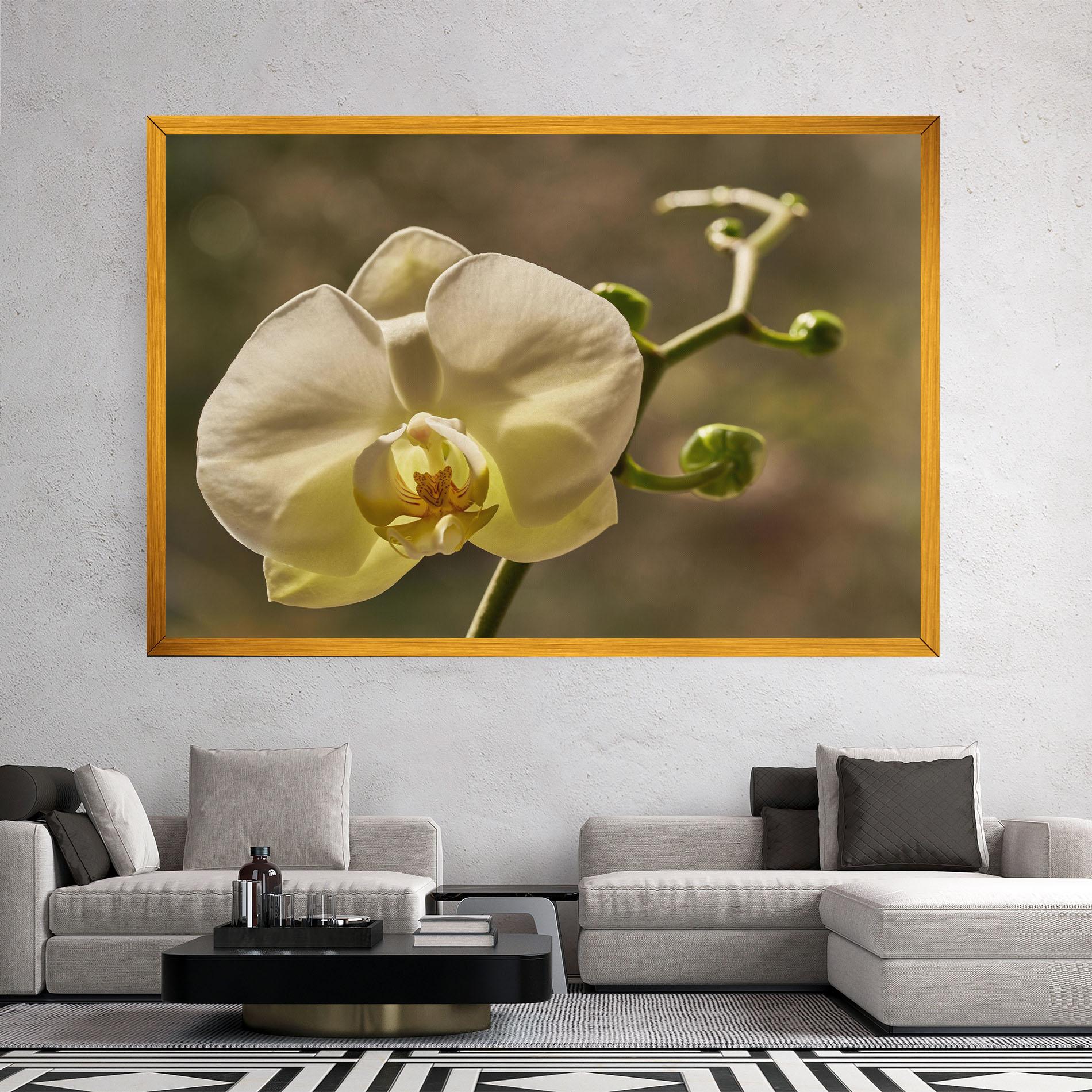 Vászonkép Pastel Yellow Orchid In Garden mockup 2