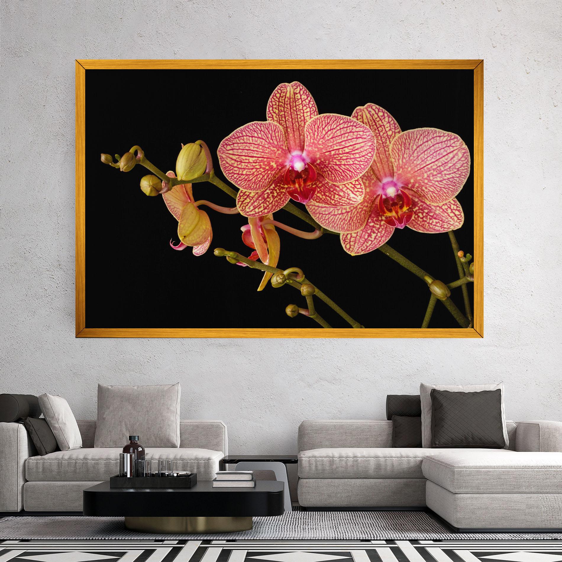 Vászonkép Pink Orchids On Black mockup 2