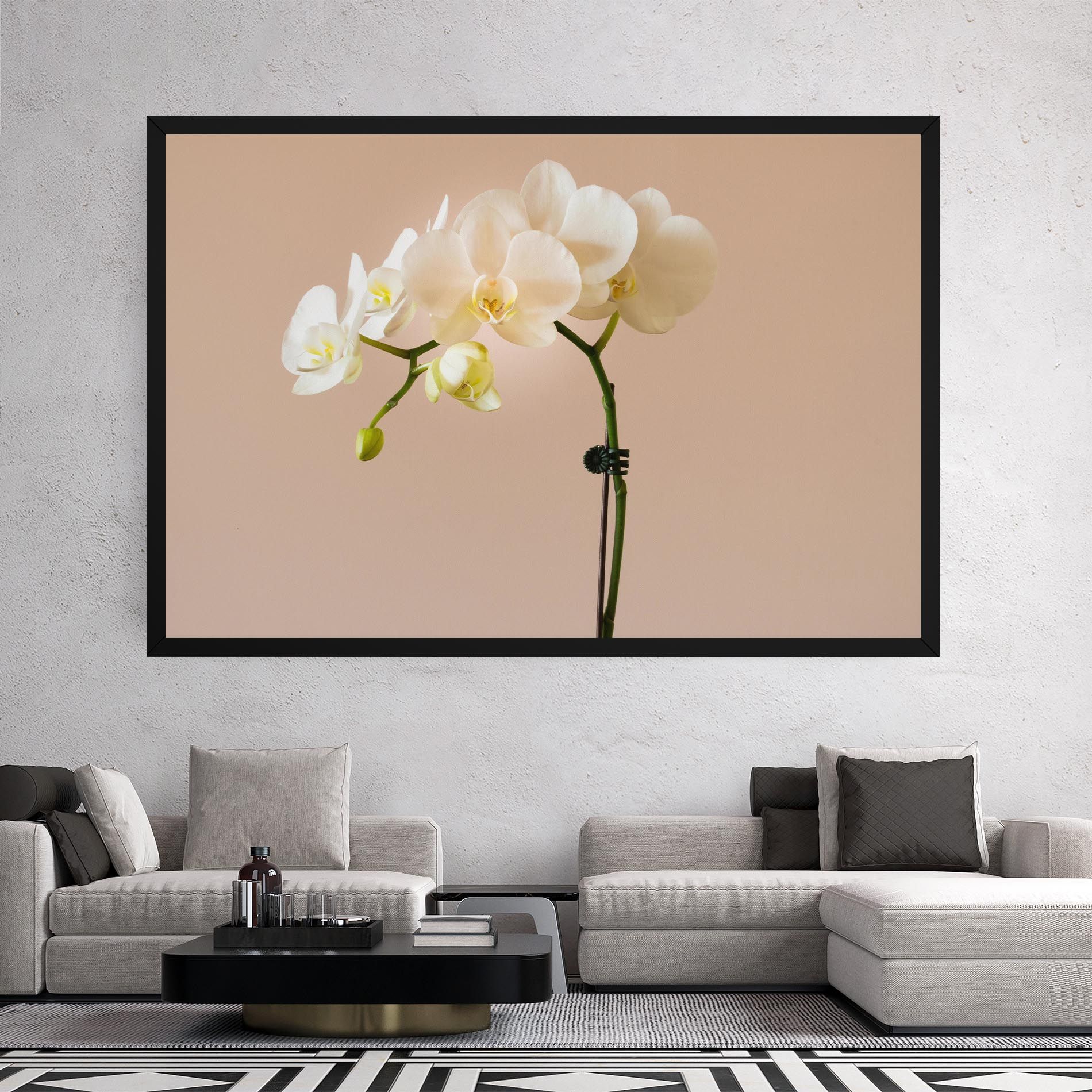 Cream Orchid On Pink mockup 2