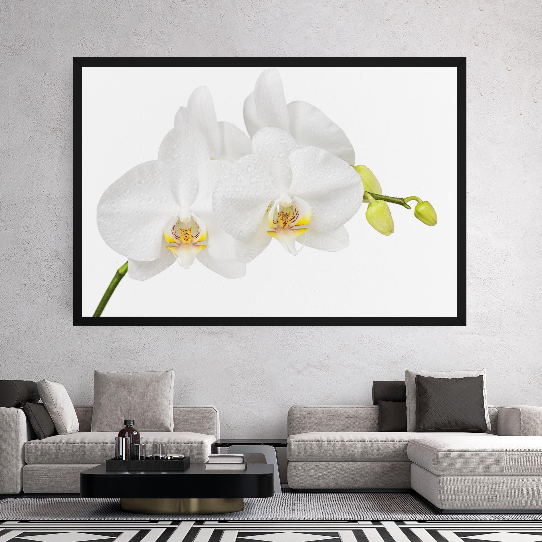 Vászonkép Orchids On White mockup 2