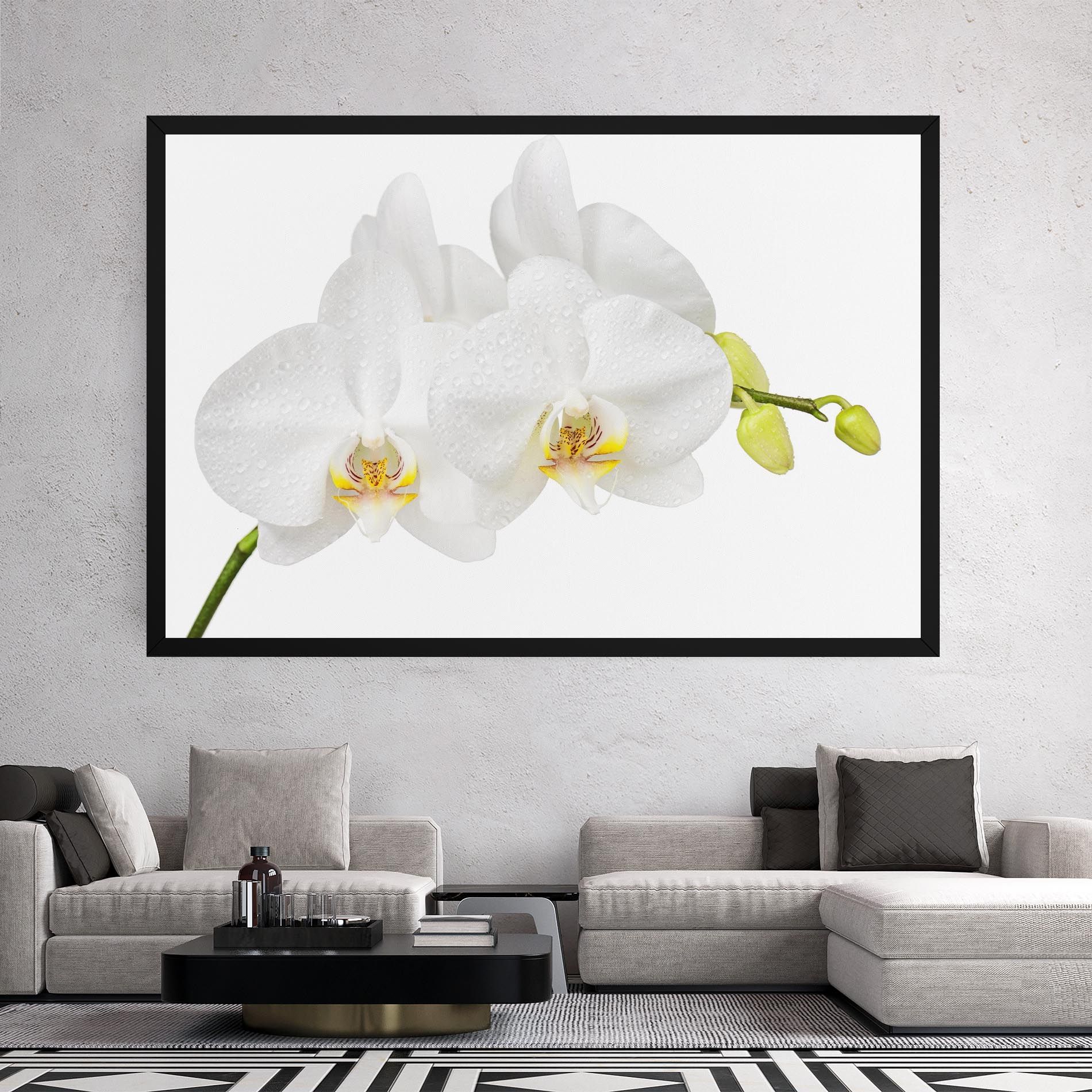 Orchids On White mockup 2