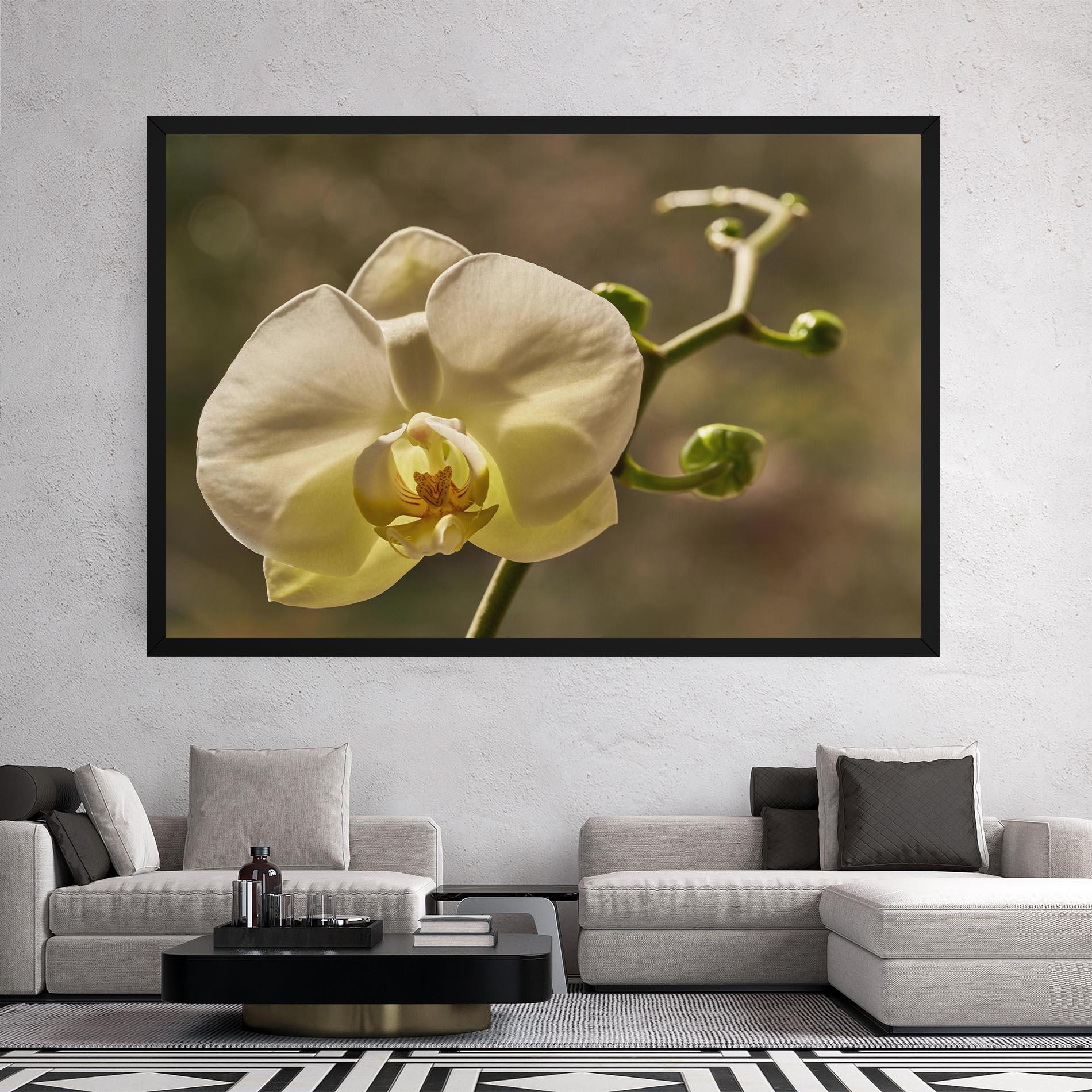 Vászonkép Pastel Yellow Orchid In Garden mockup 2