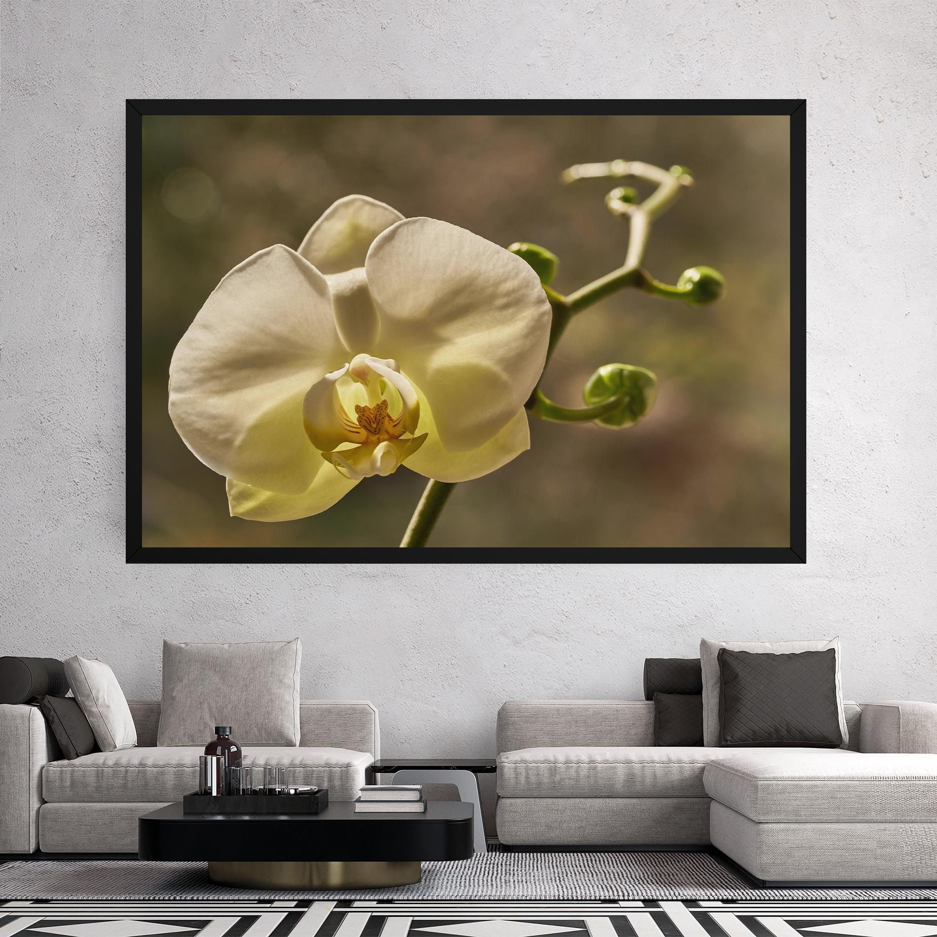 Pastel Yellow Orchid In Garden mockup 2