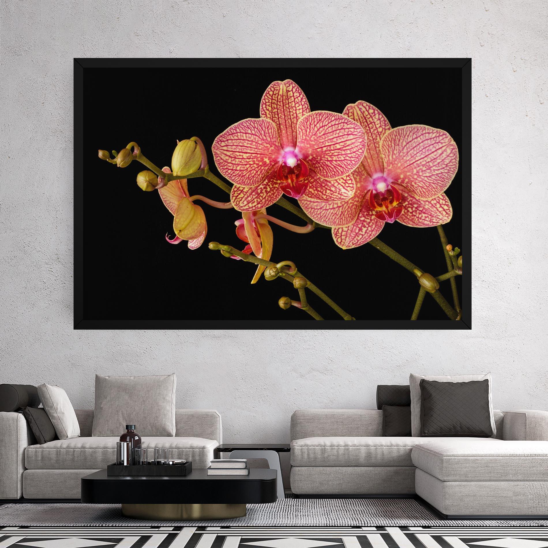 Vászonkép Pink Orchids On Black mockup 2
