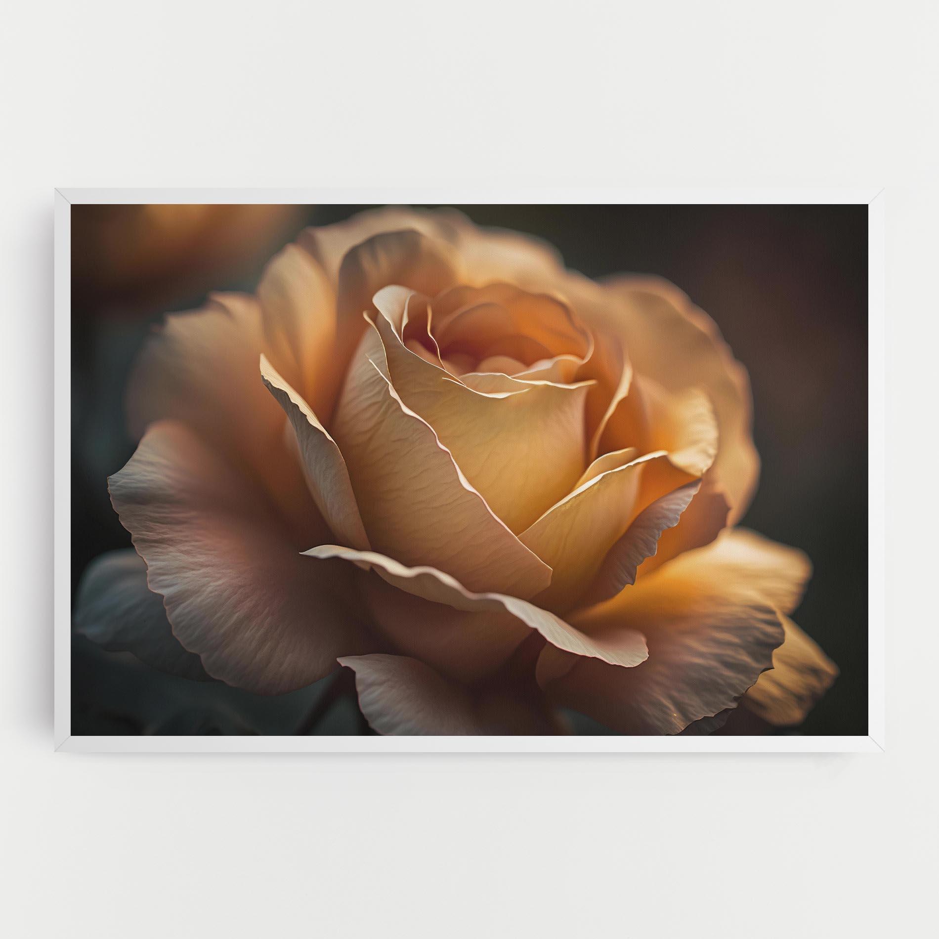 Vászonkép Light Orange Rose Close Up mockup 0
