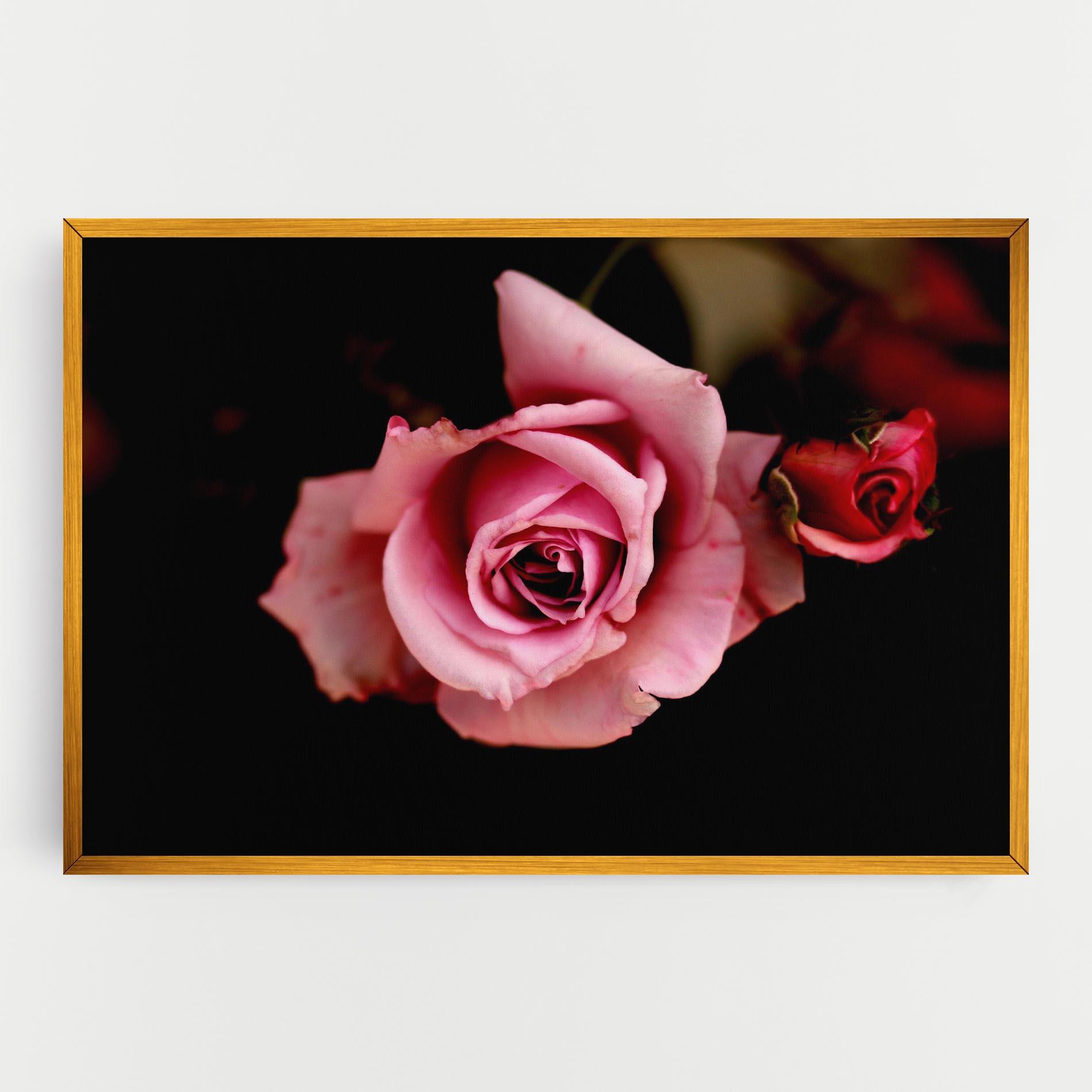 Vászonkép Opened Pink Rose mockup 0