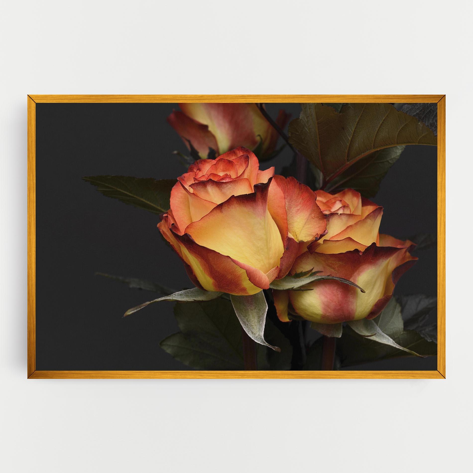 Vászonkép Orange Rose mockup 0