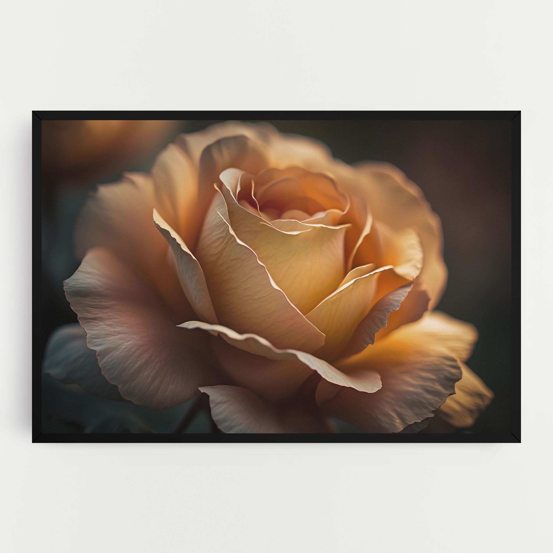 Light Orange Rose Close Up mockup 0