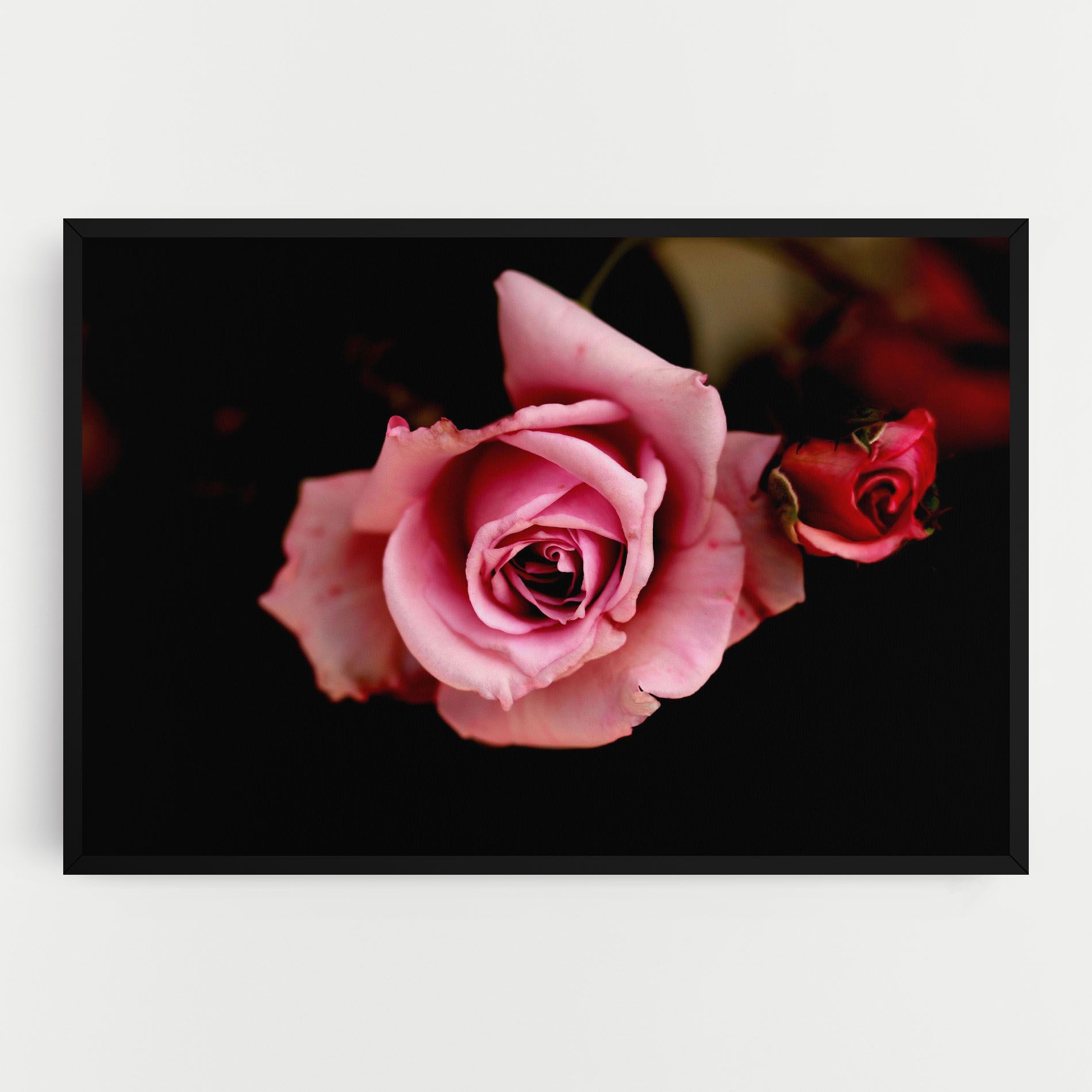 Opened Pink Rose mockup 0