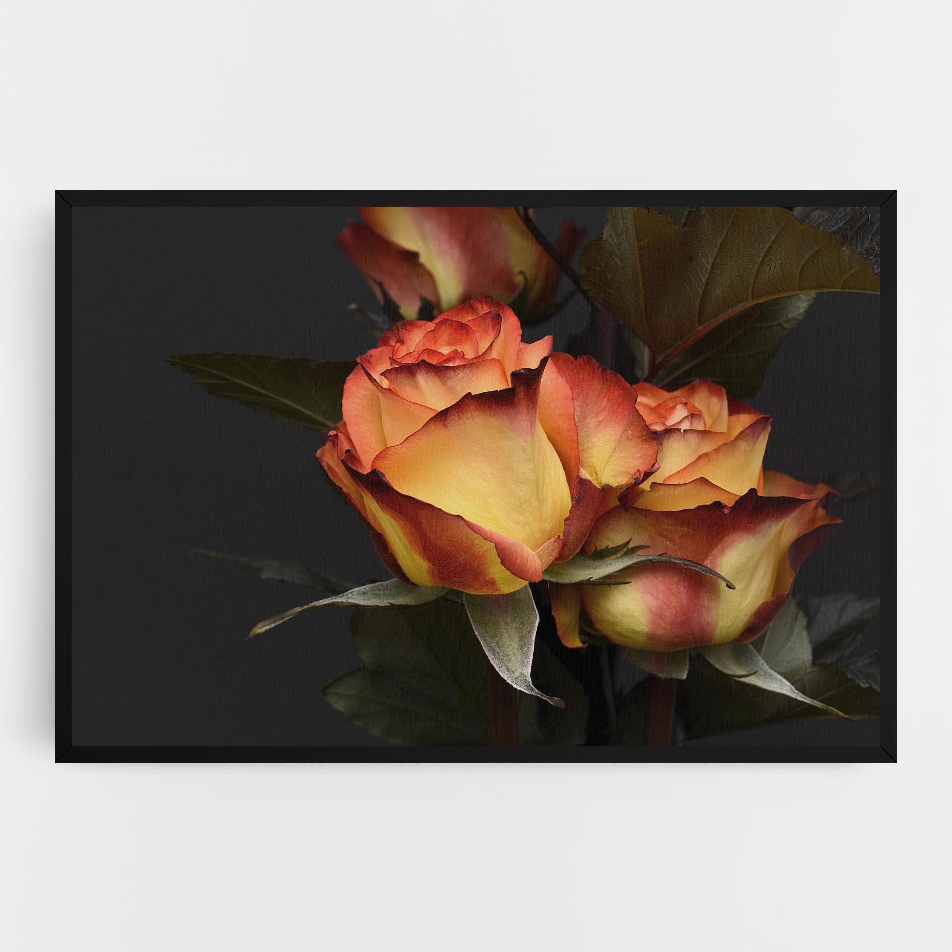 Vászonkép Orange Rose mockup 0