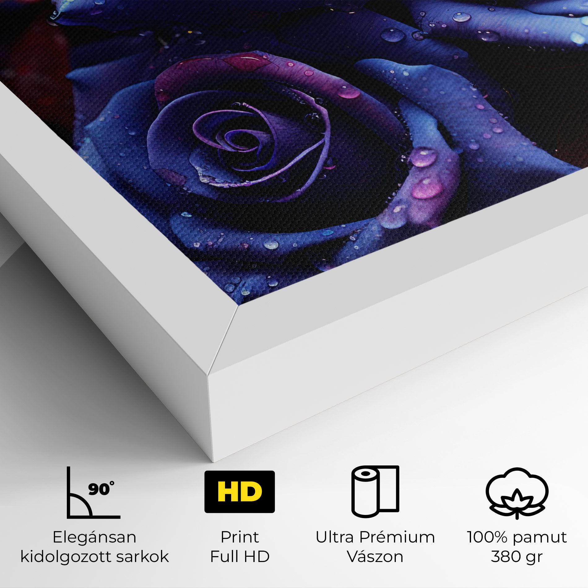 Blue Purple Rose mockup 4