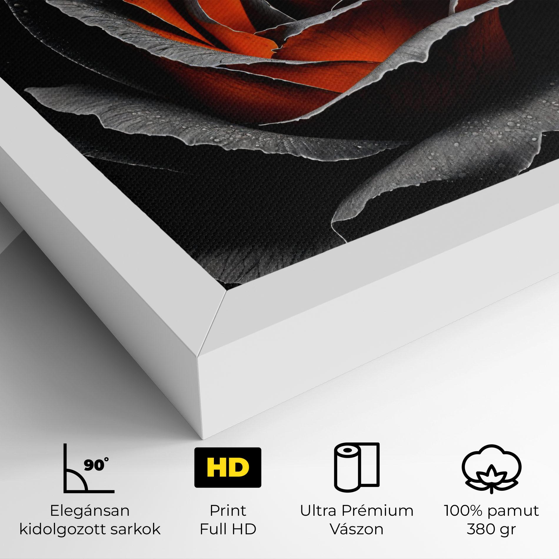 Vászonkép Grey Orange Rose mockup 4
