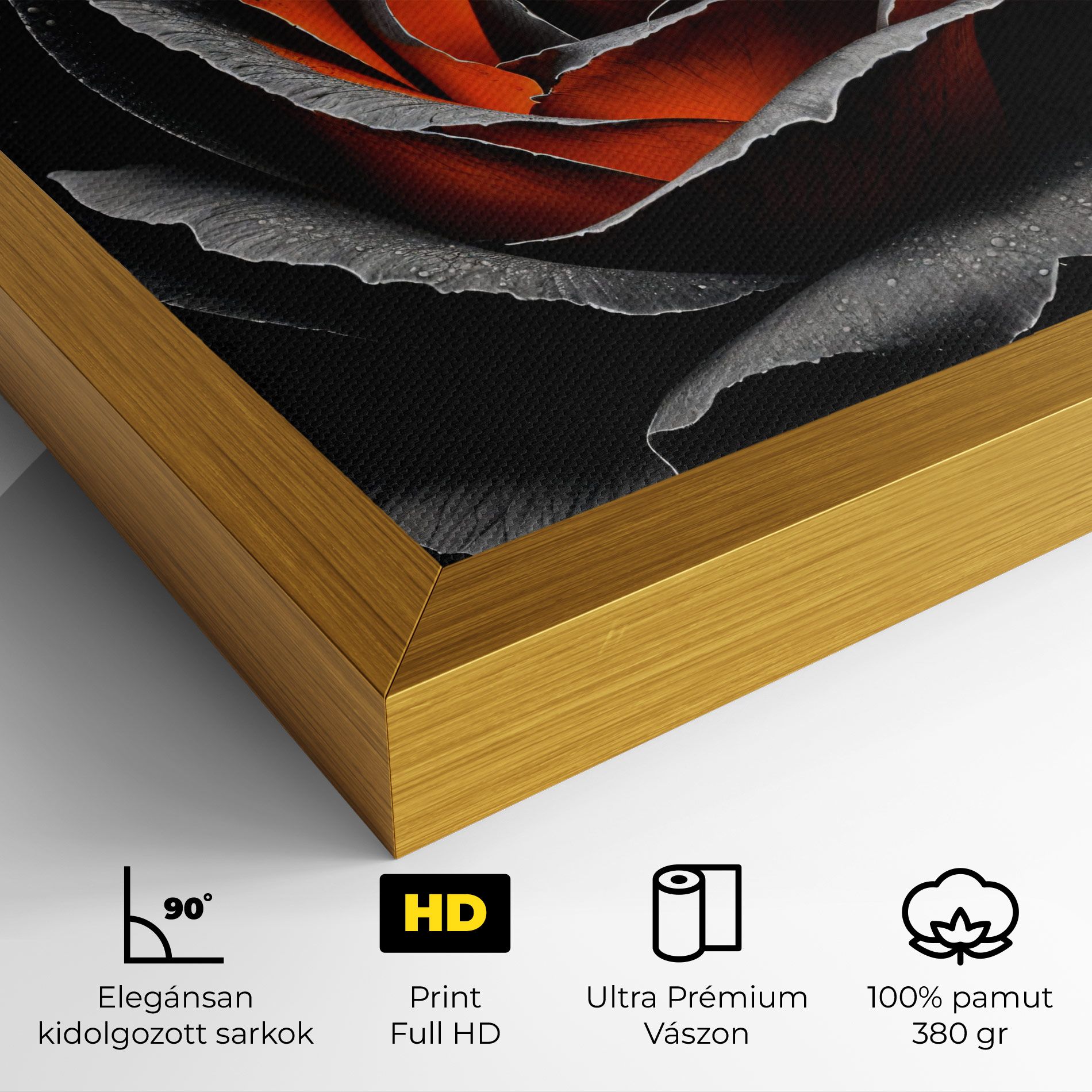 Grey Orange Rose mockup 4