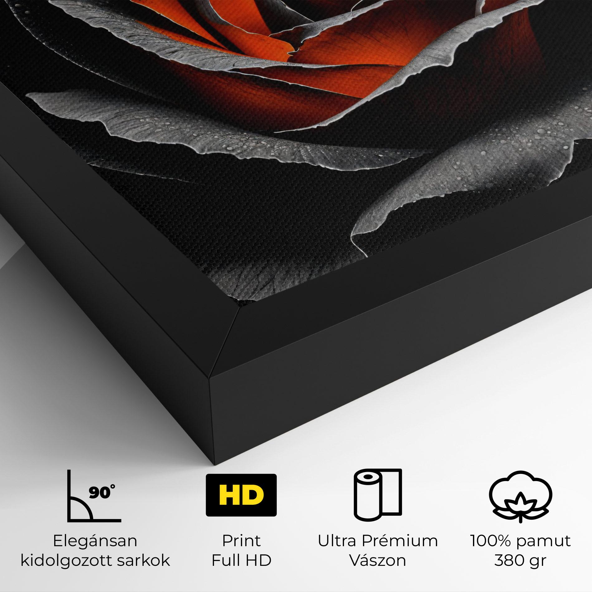 Vászonkép Grey Orange Rose mockup 4