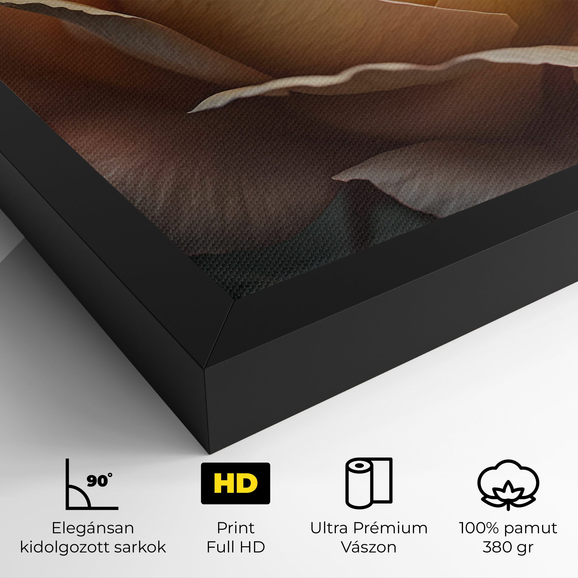 Light Orange Rose Close Up mockup 4