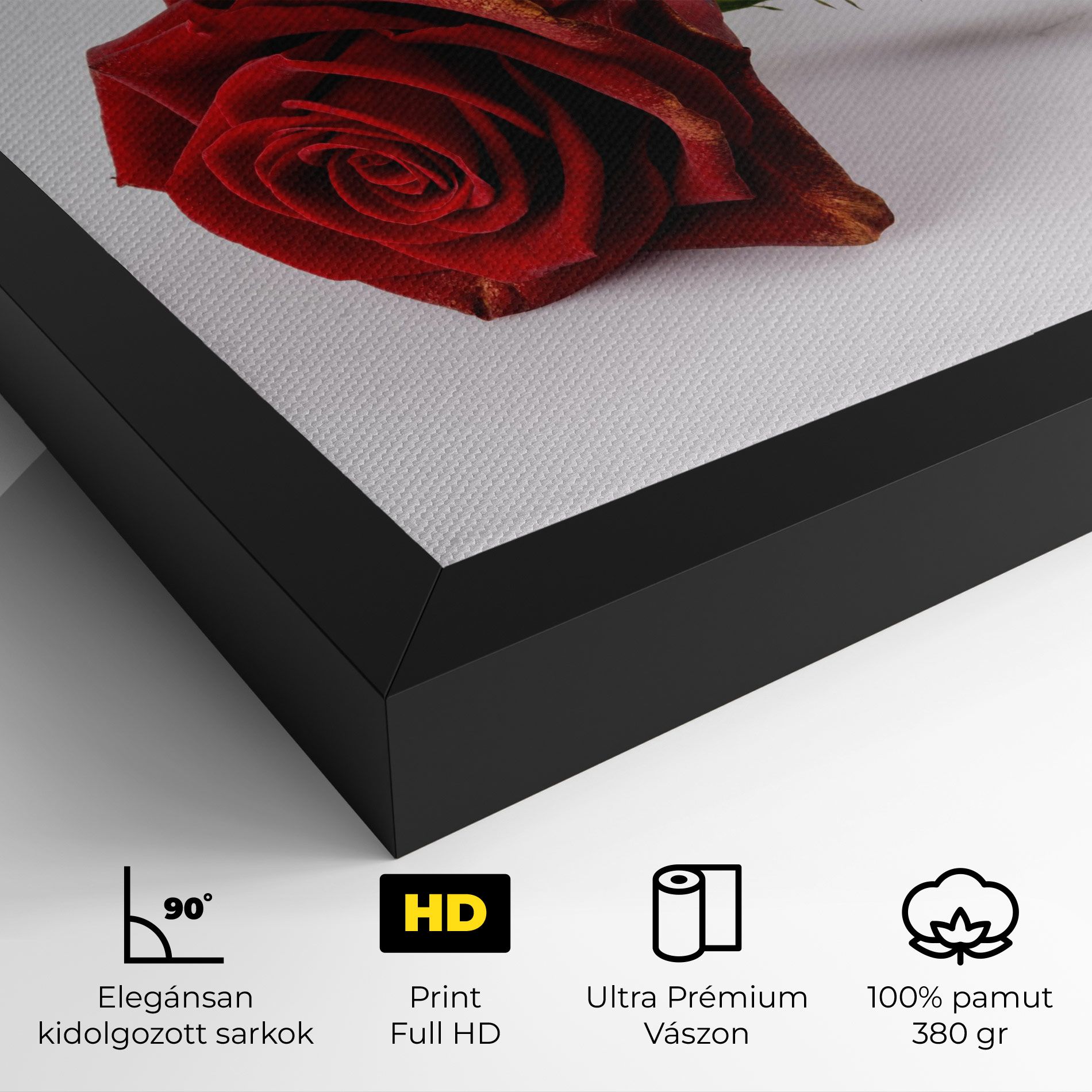 Lonely Rose mockup 4