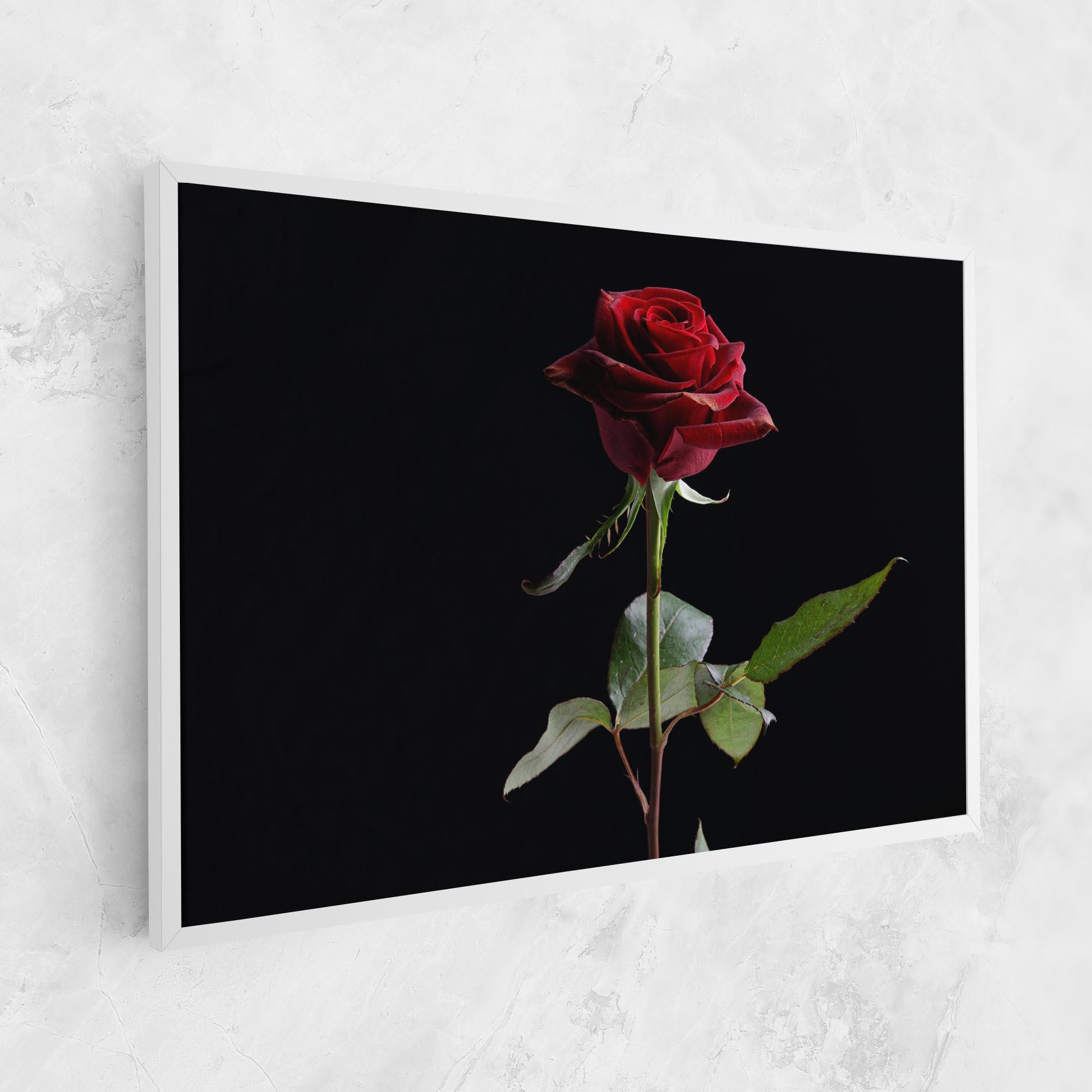 Vászonkép Beautiful Red Rose mockup 1