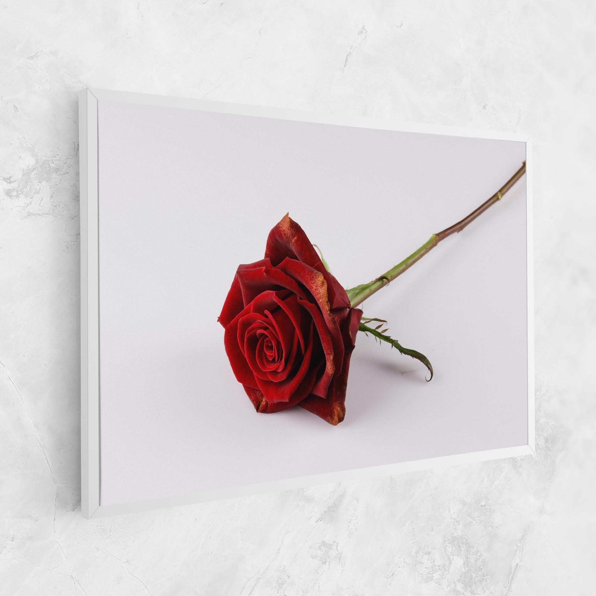 Vászonkép Lonely Rose mockup 1
