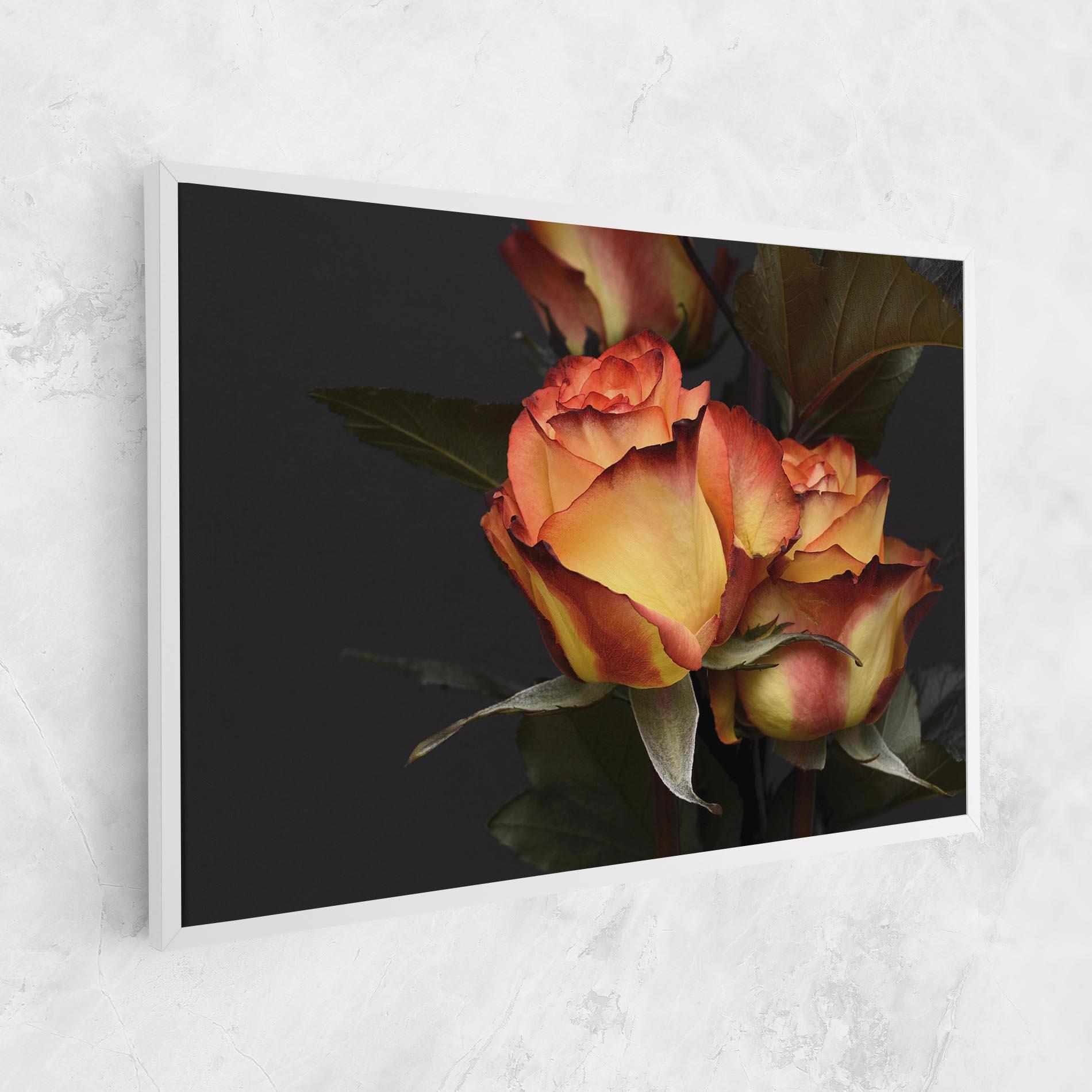Vászonkép Orange Rose mockup 1
