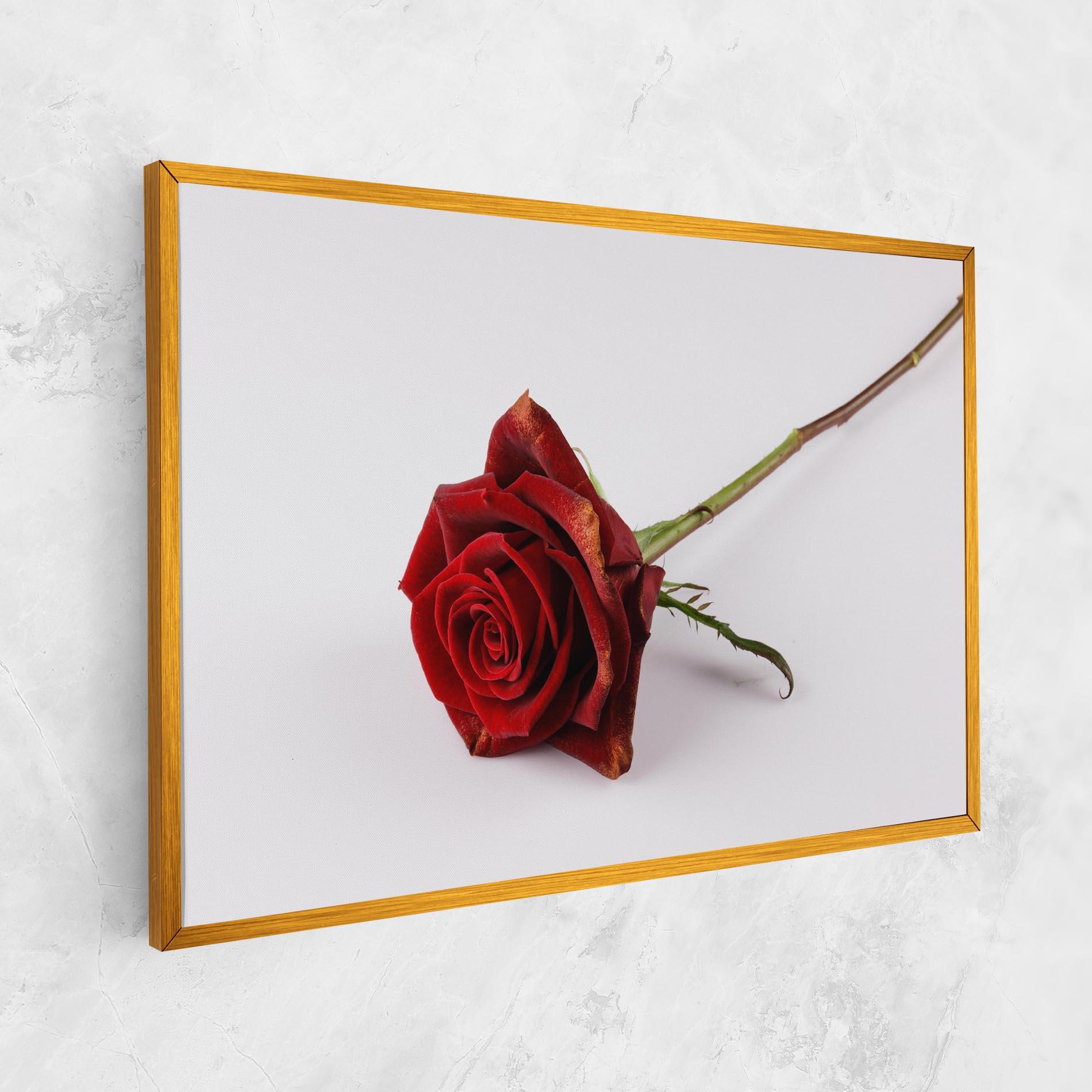 Vászonkép Lonely Rose mockup 1