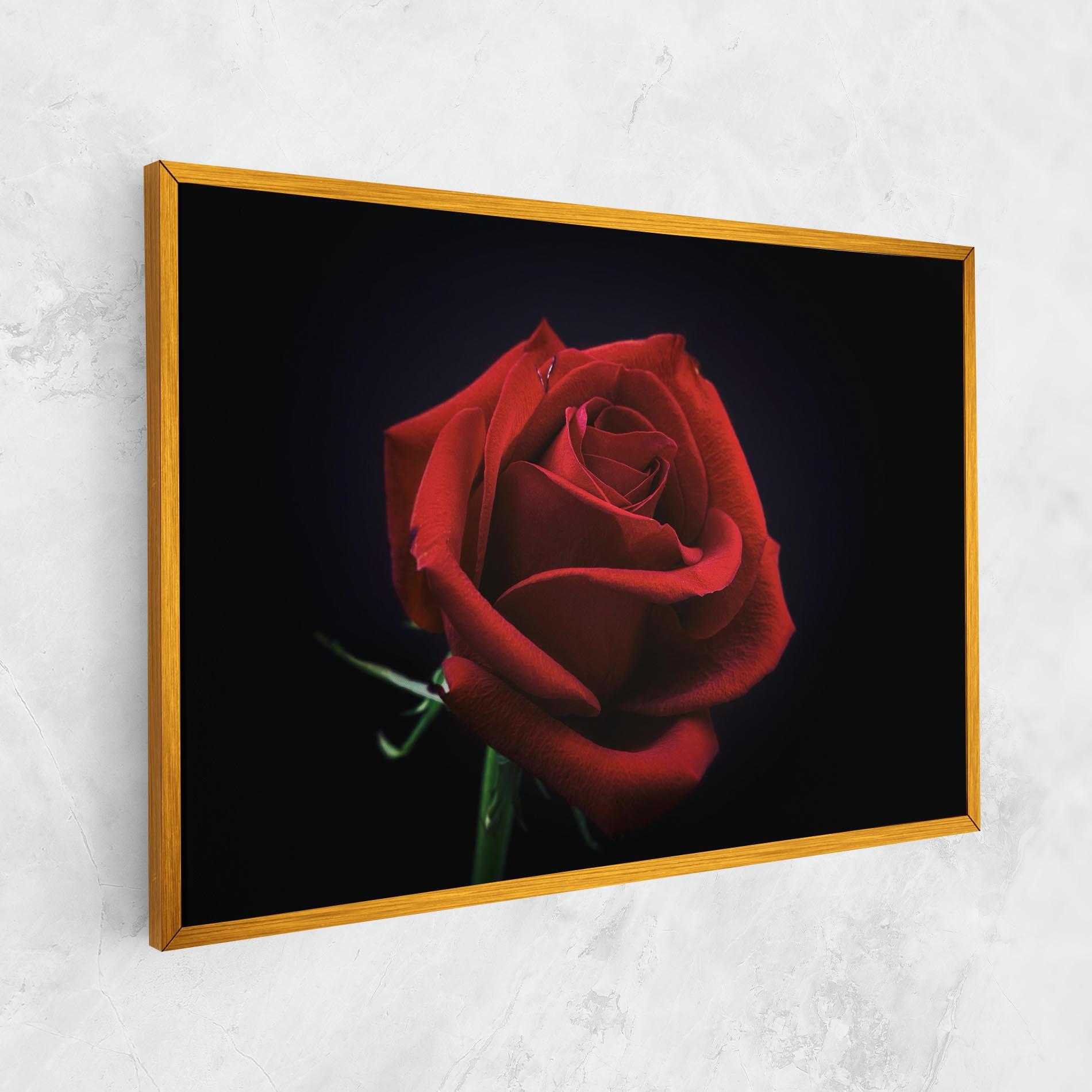 Vászonkép Red Rose Close Up mockup 1