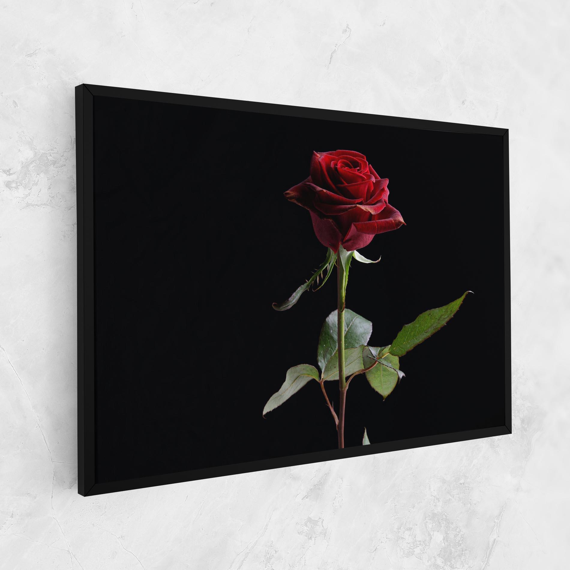 Vászonkép Beautiful Red Rose mockup 1