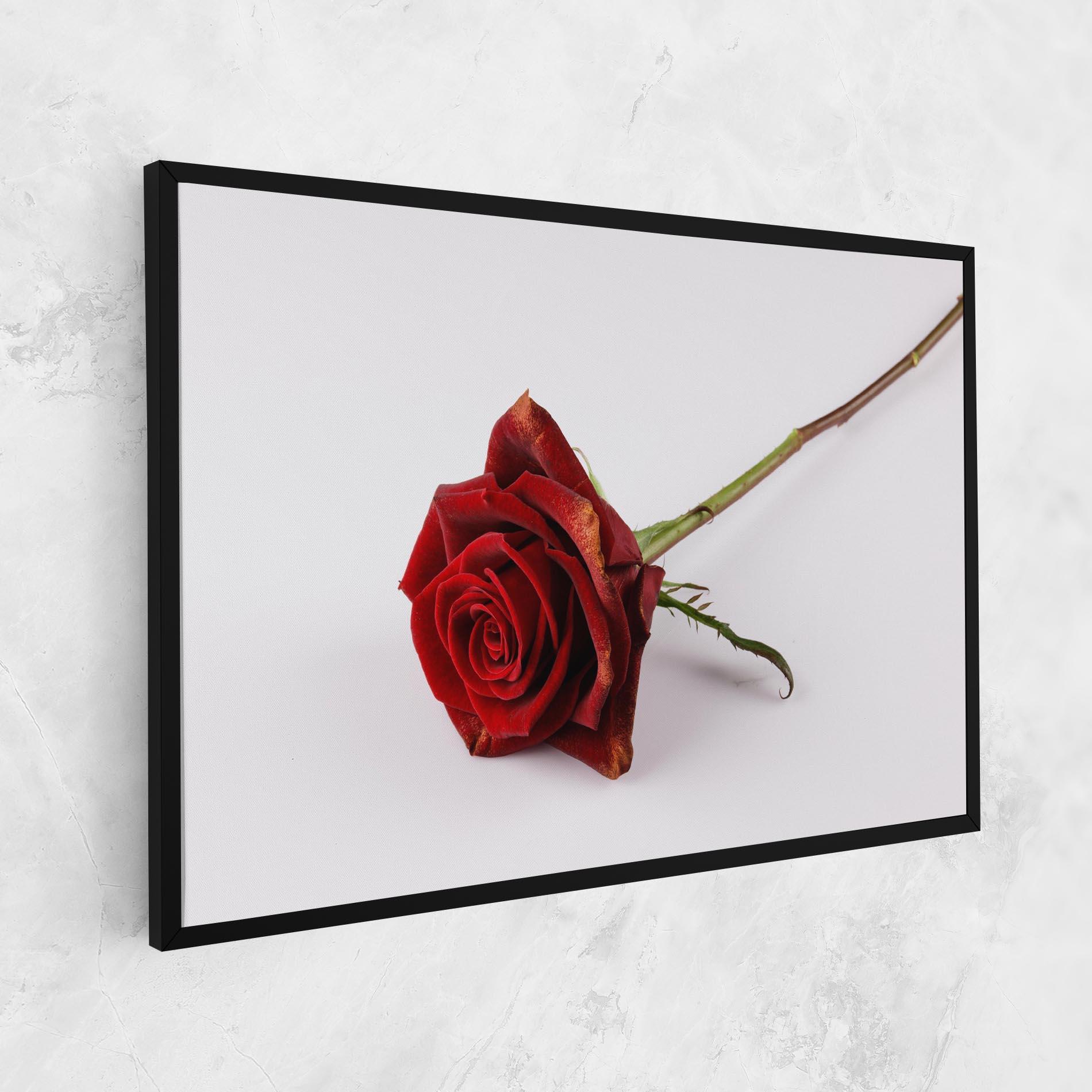 Vászonkép Lonely Rose mockup 1
