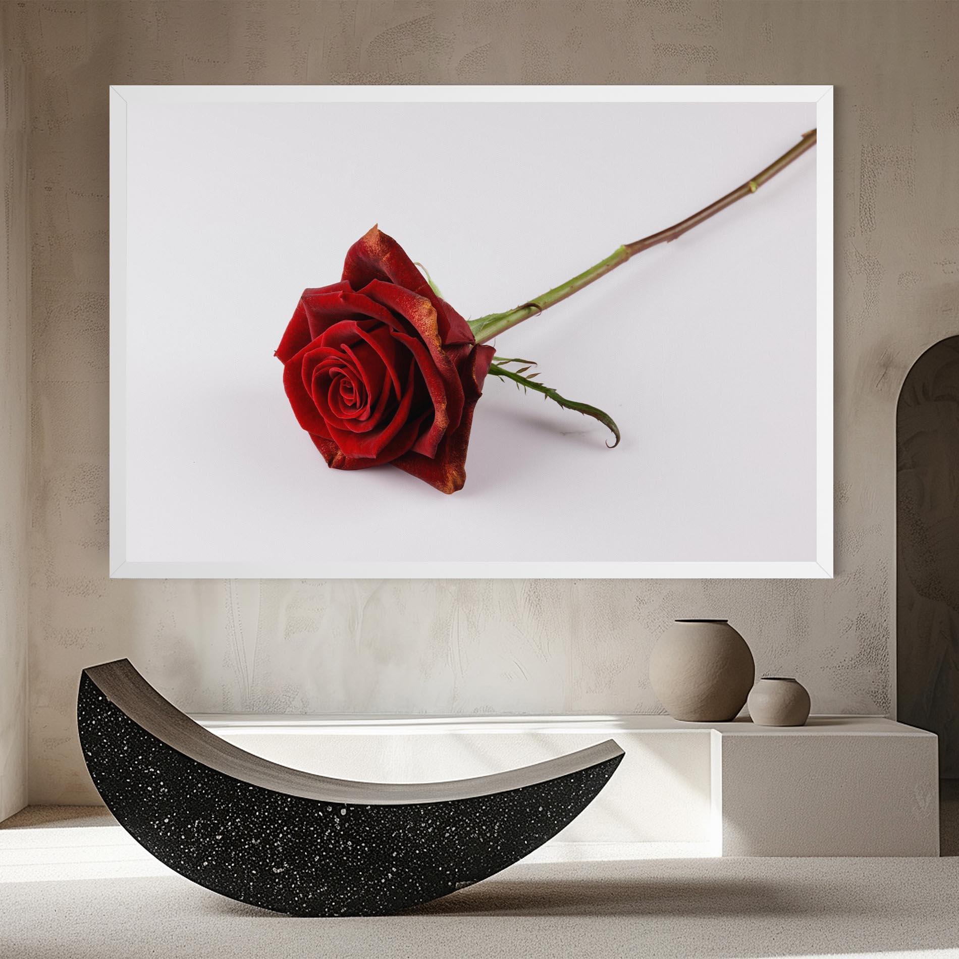 Vászonkép Lonely Rose mockup 8