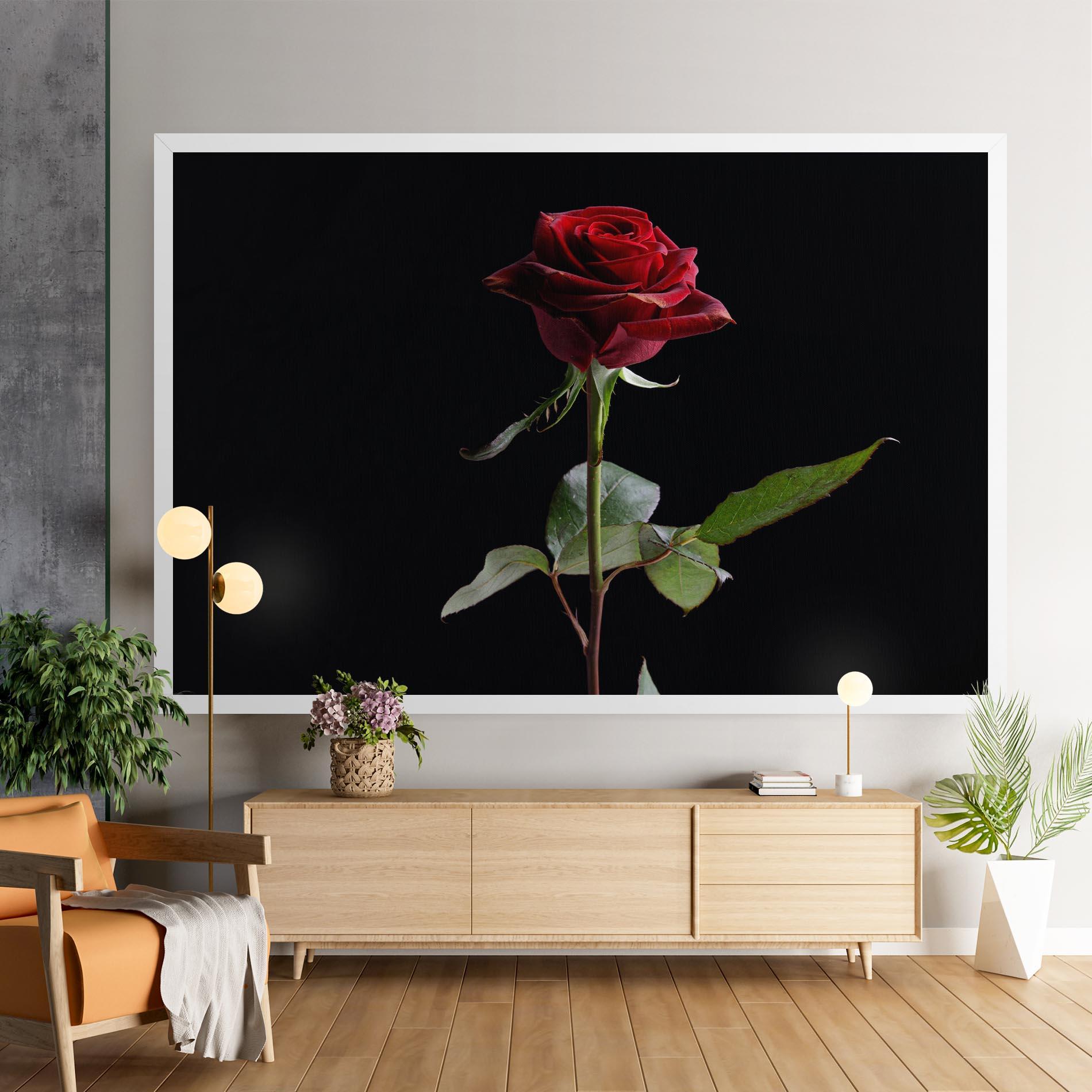 Vászonkép Beautiful Red Rose mockup 9