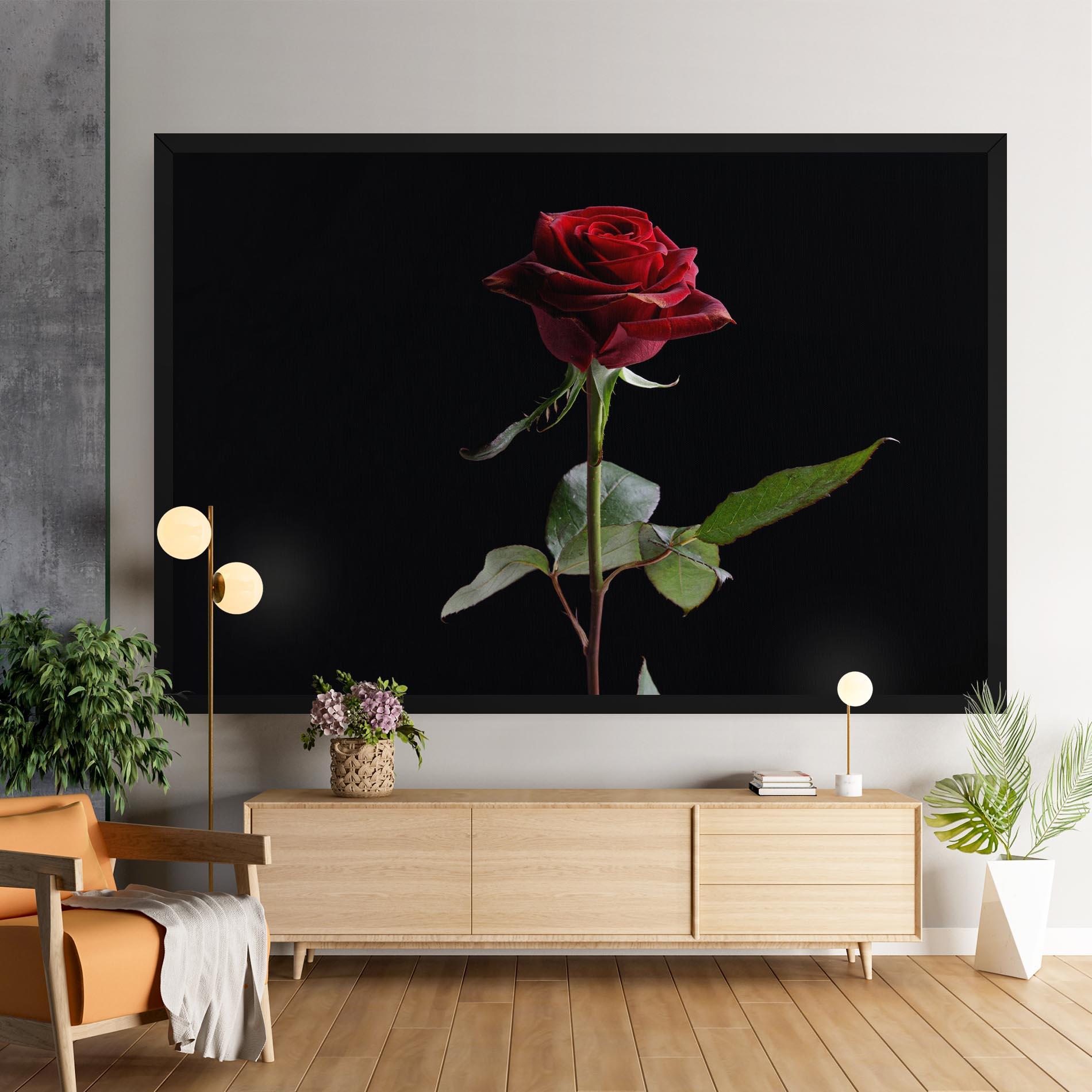 Vászonkép Beautiful Red Rose mockup 9