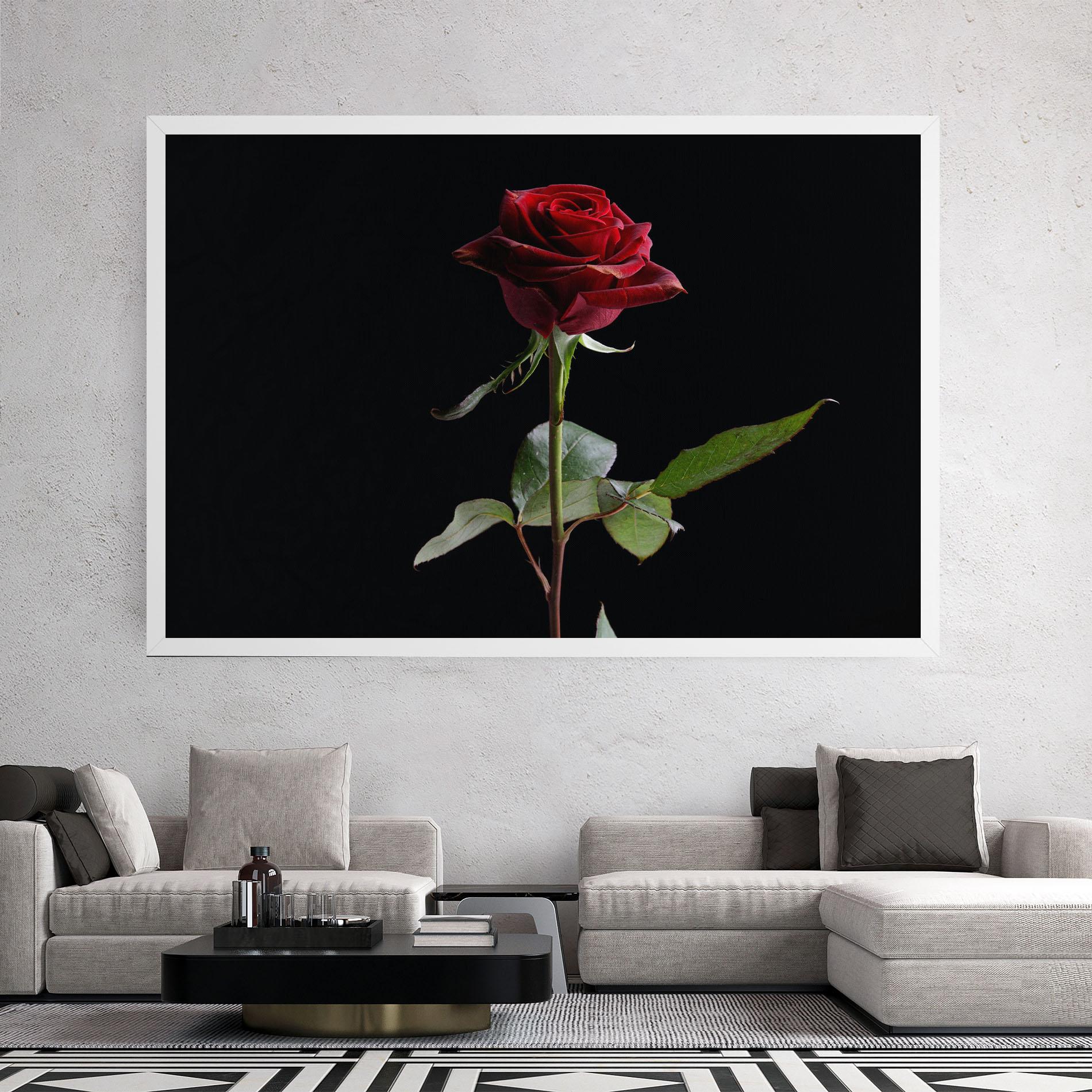 Vászonkép Beautiful Red Rose mockup 2