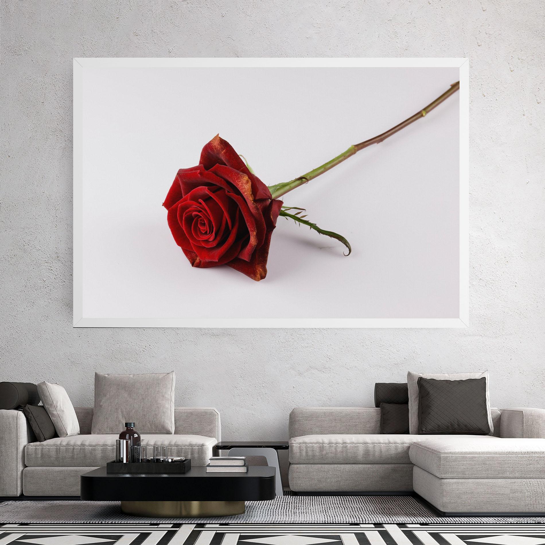 Vászonkép Lonely Rose mockup 2