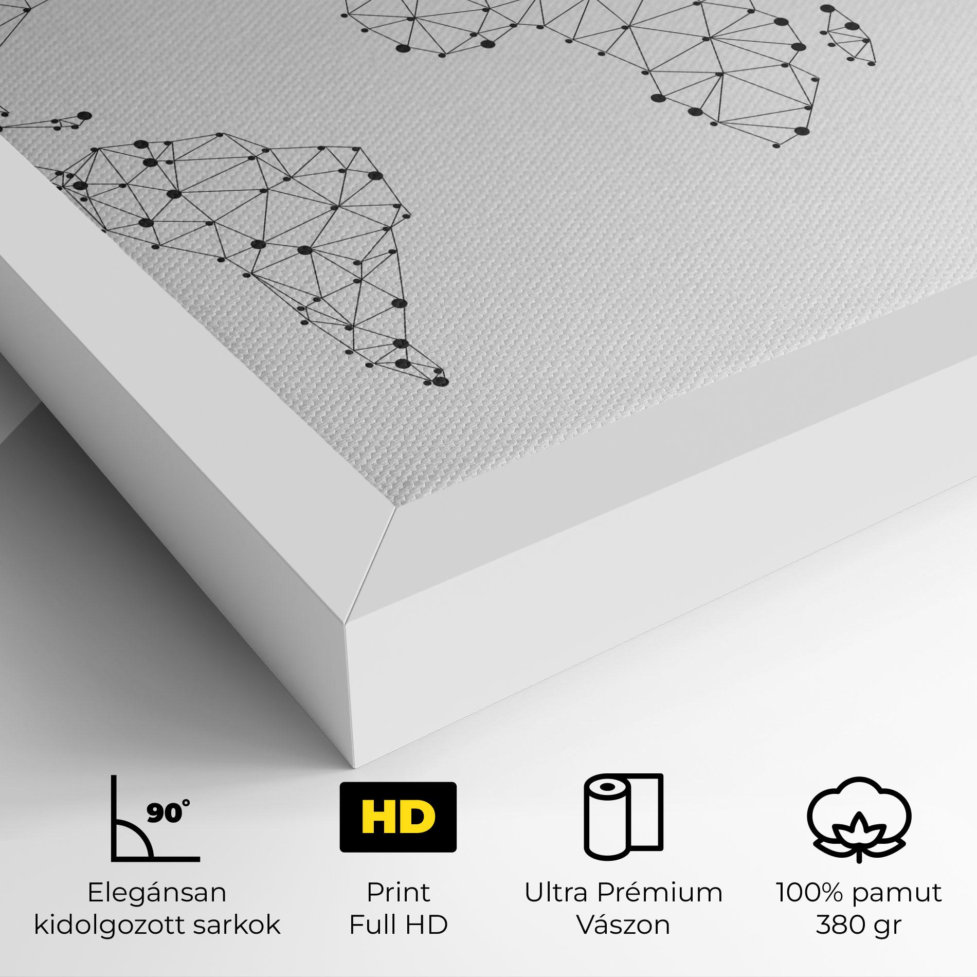 Vászonkép Black Map Line mockup 4