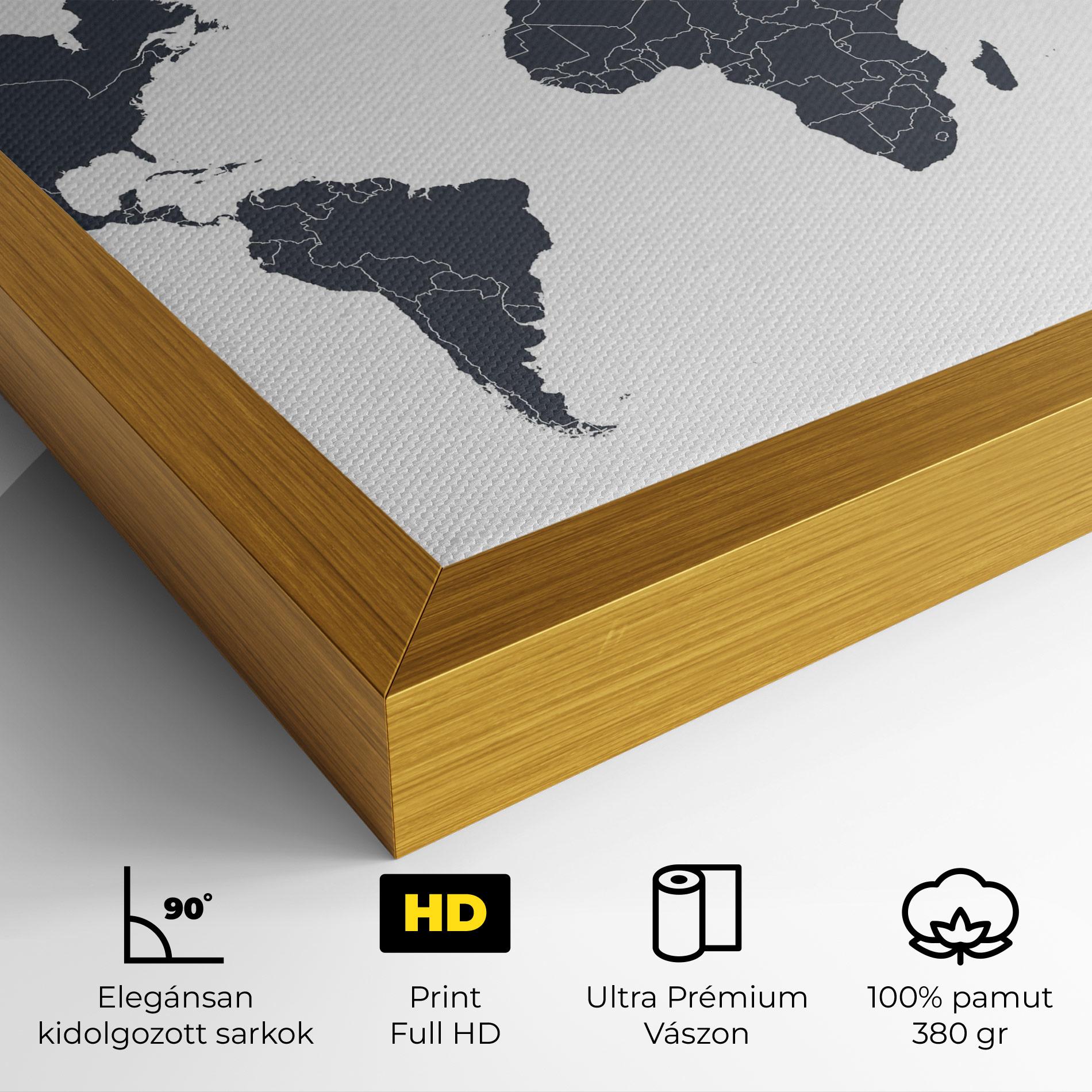 Vászonkép World Grey Map mockup 4