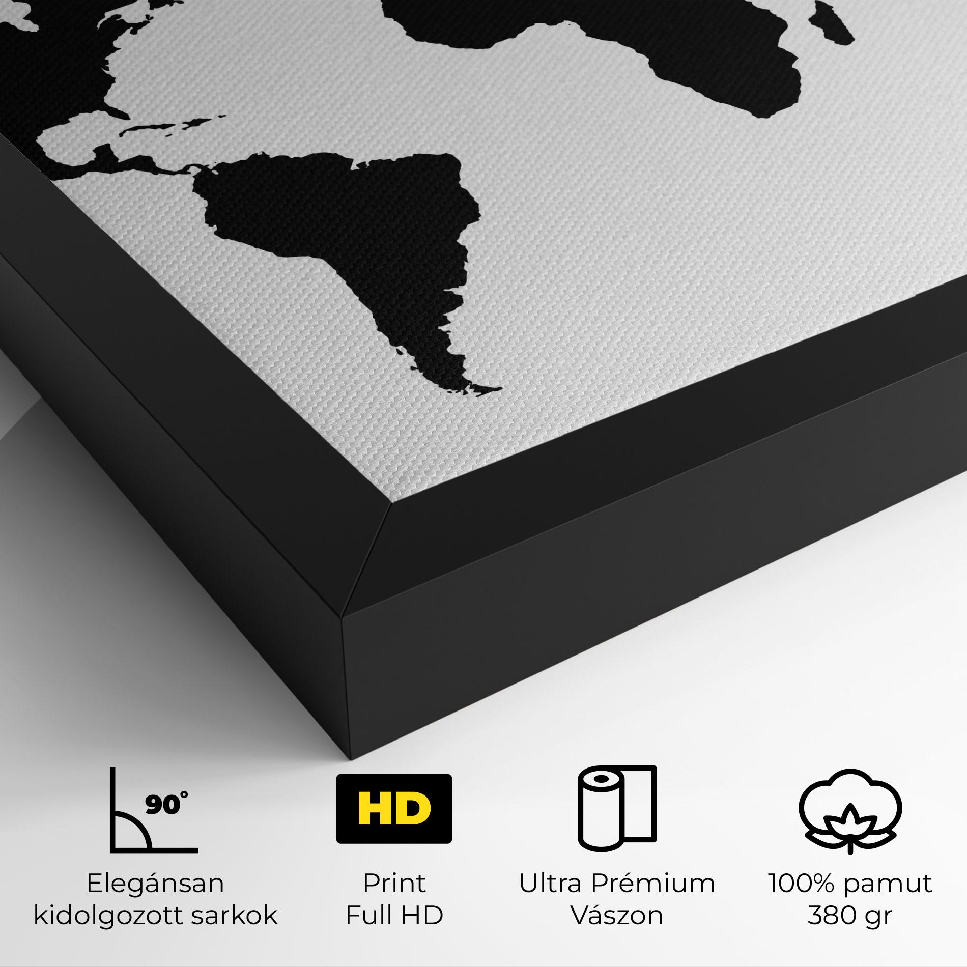 Vászonkép Global Black Map mockup 4