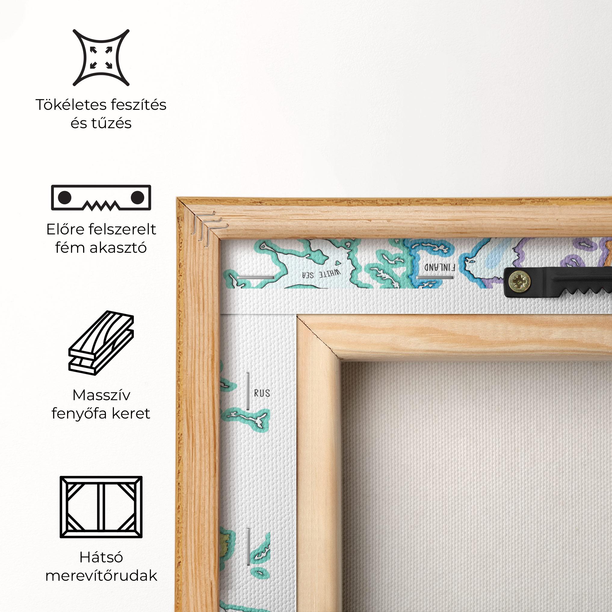 Vászonkép Europe Map mockup 5