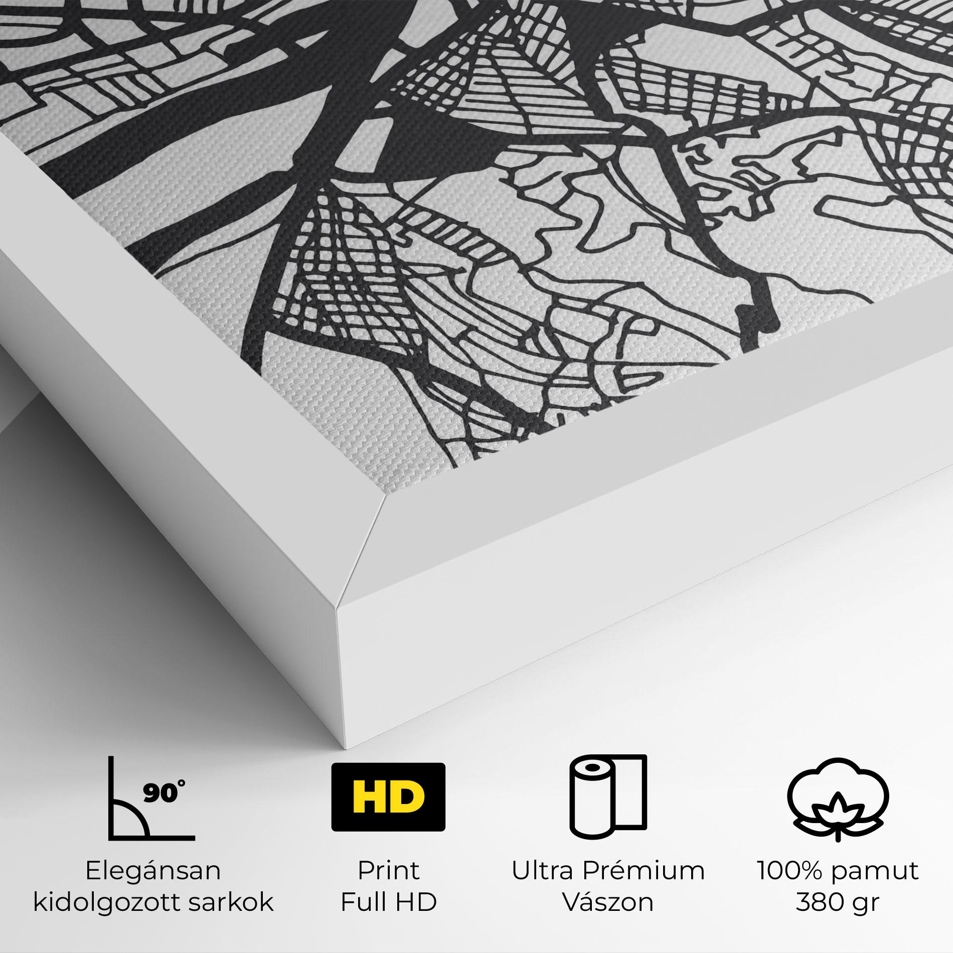 Vászonkép Belgrade Map mockup 4