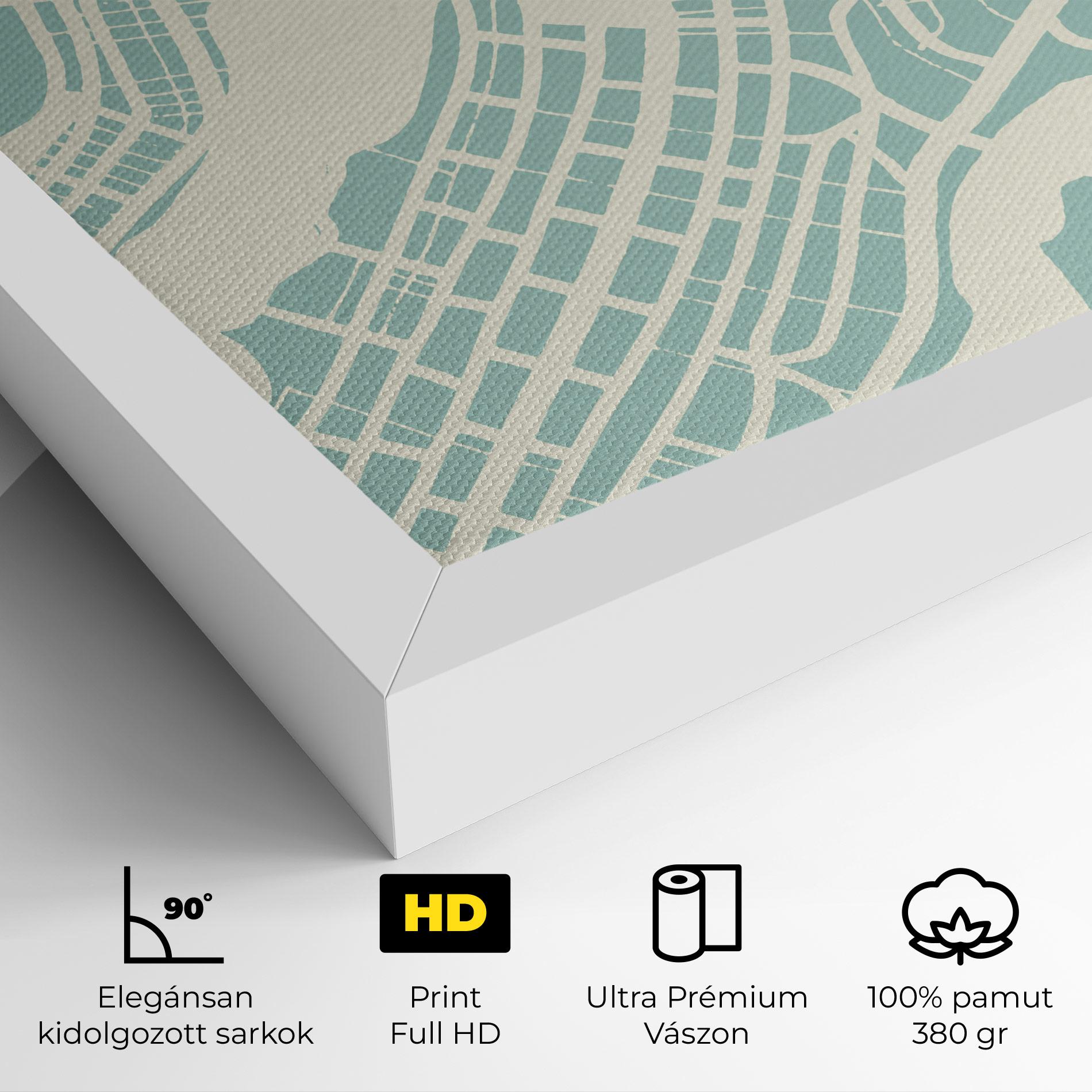 Vászonkép Brasilia Map mockup 4