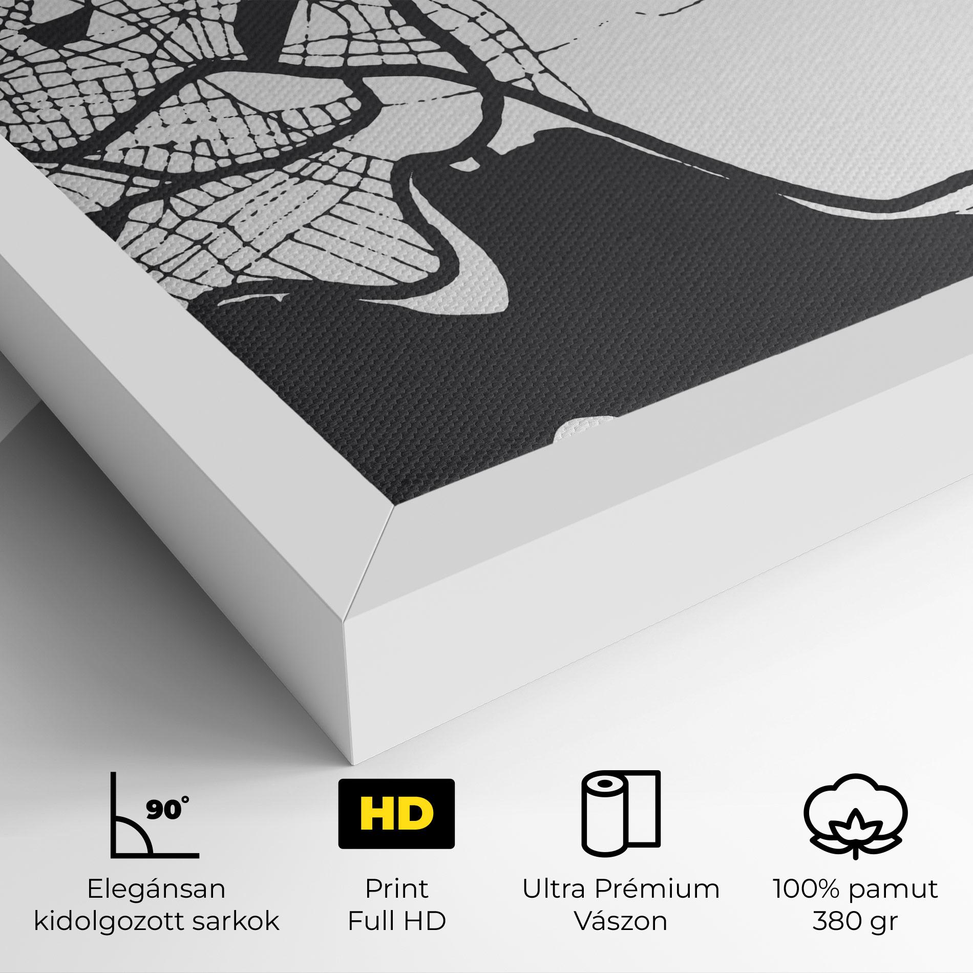 Vászonkép Chalcis Map mockup 4