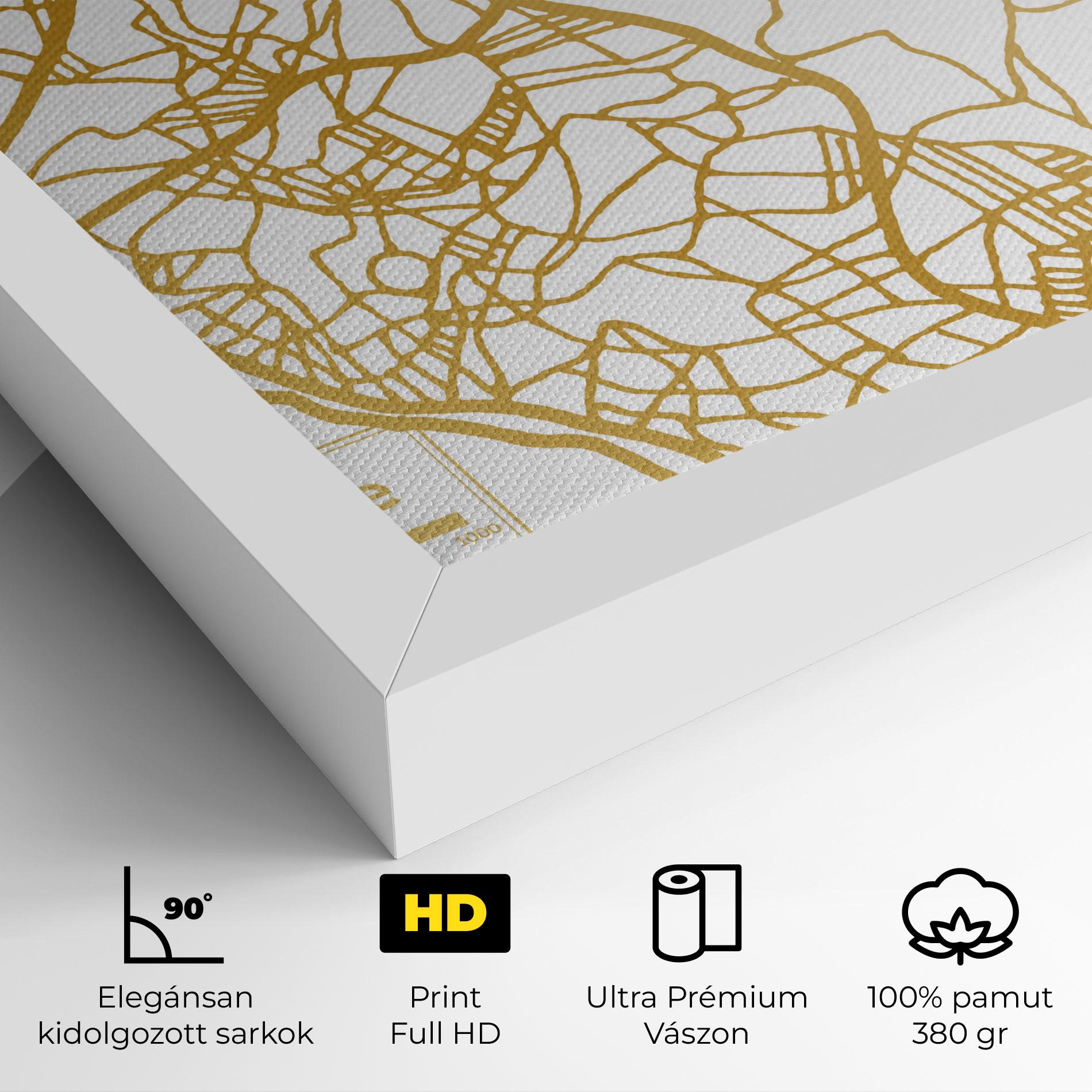 Vászonkép Libreville Gold Map mockup 4