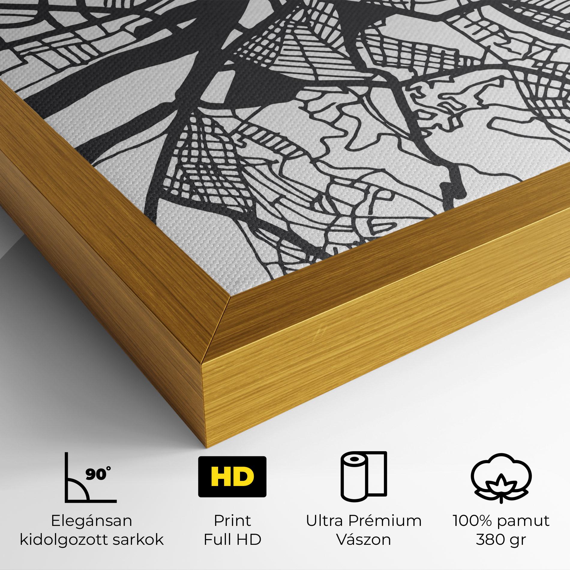 Vászonkép Belgrade Map mockup 4