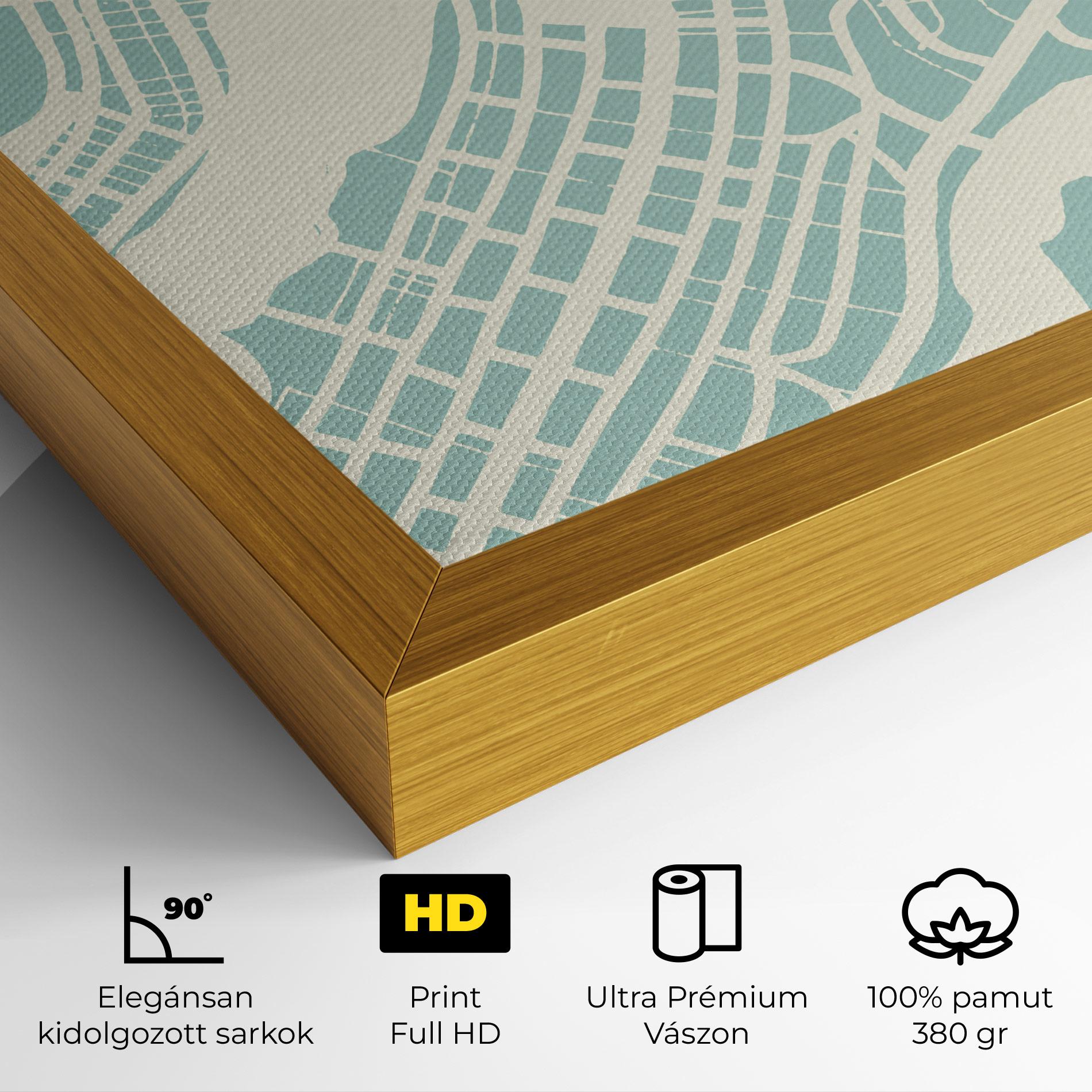 Vászonkép Brasilia Map mockup 4