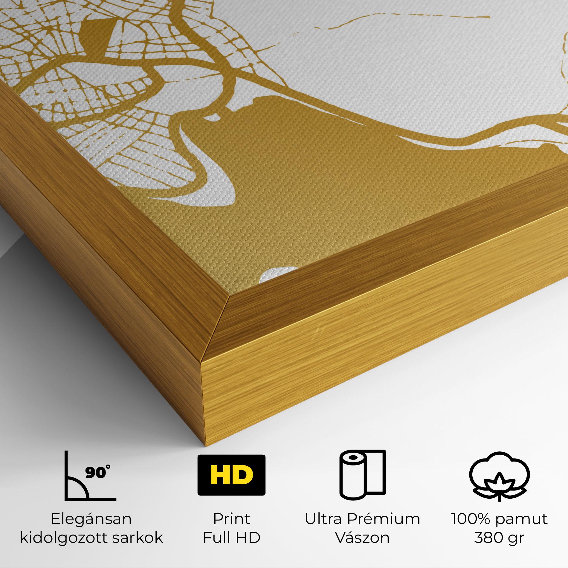 Vászonkép Chalcis Gold Map mockup 4