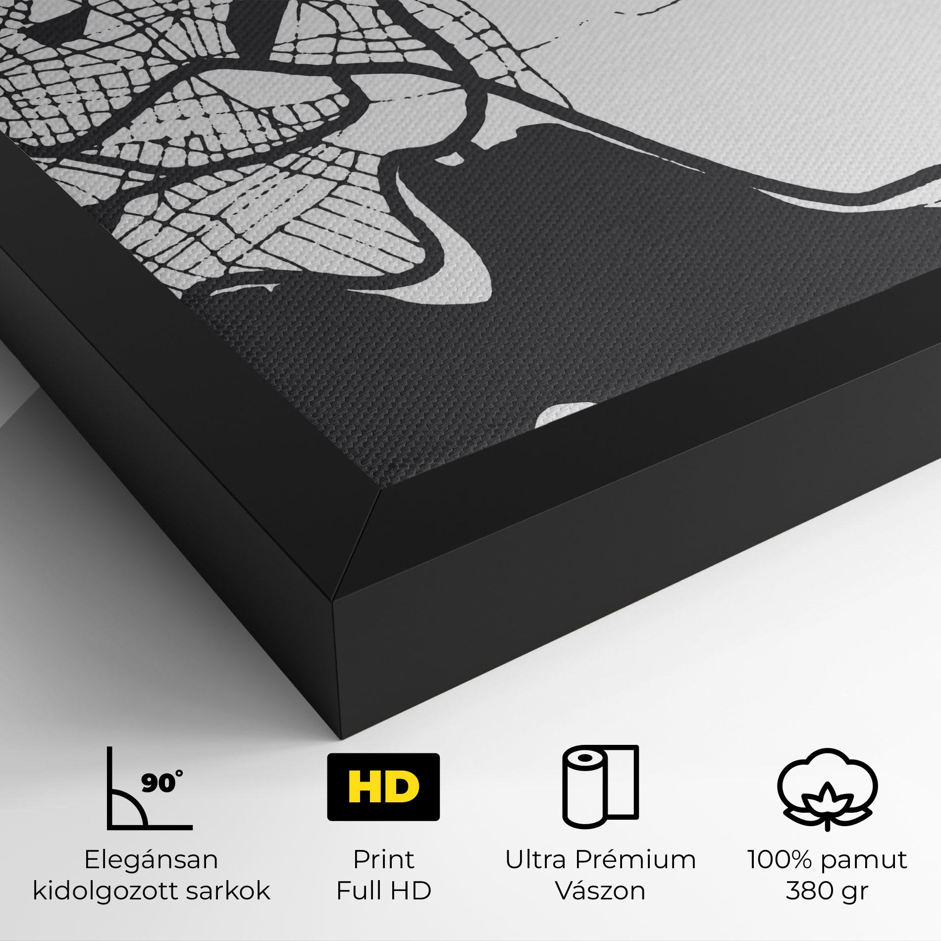 Vászonkép Chalcis Map mockup 4