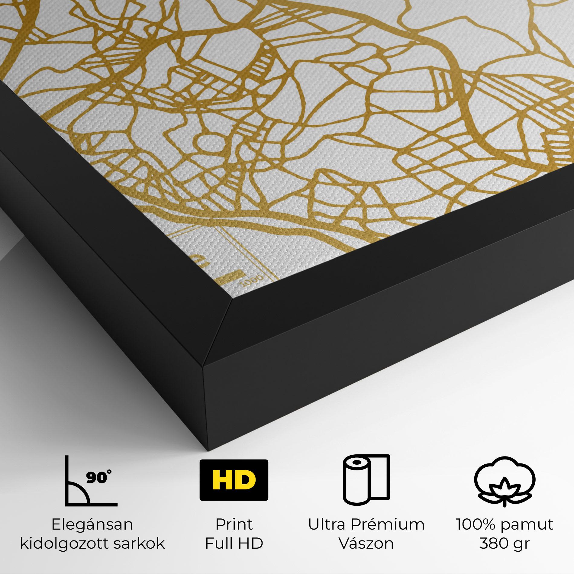 Vászonkép Libreville Gold Map mockup 4