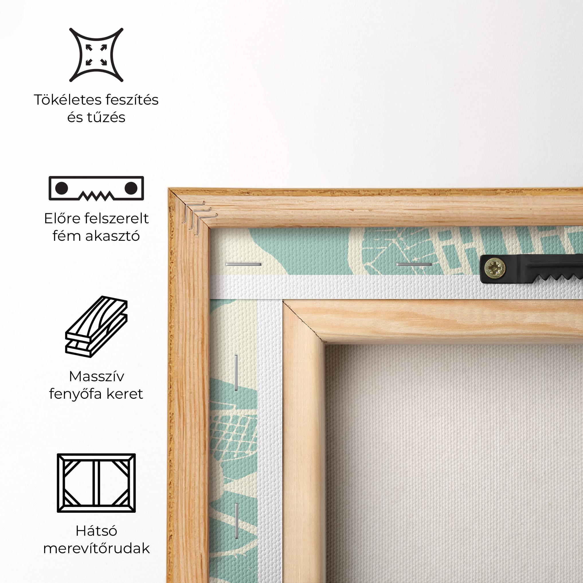 Vászonkép Brasilia Map mockup 5