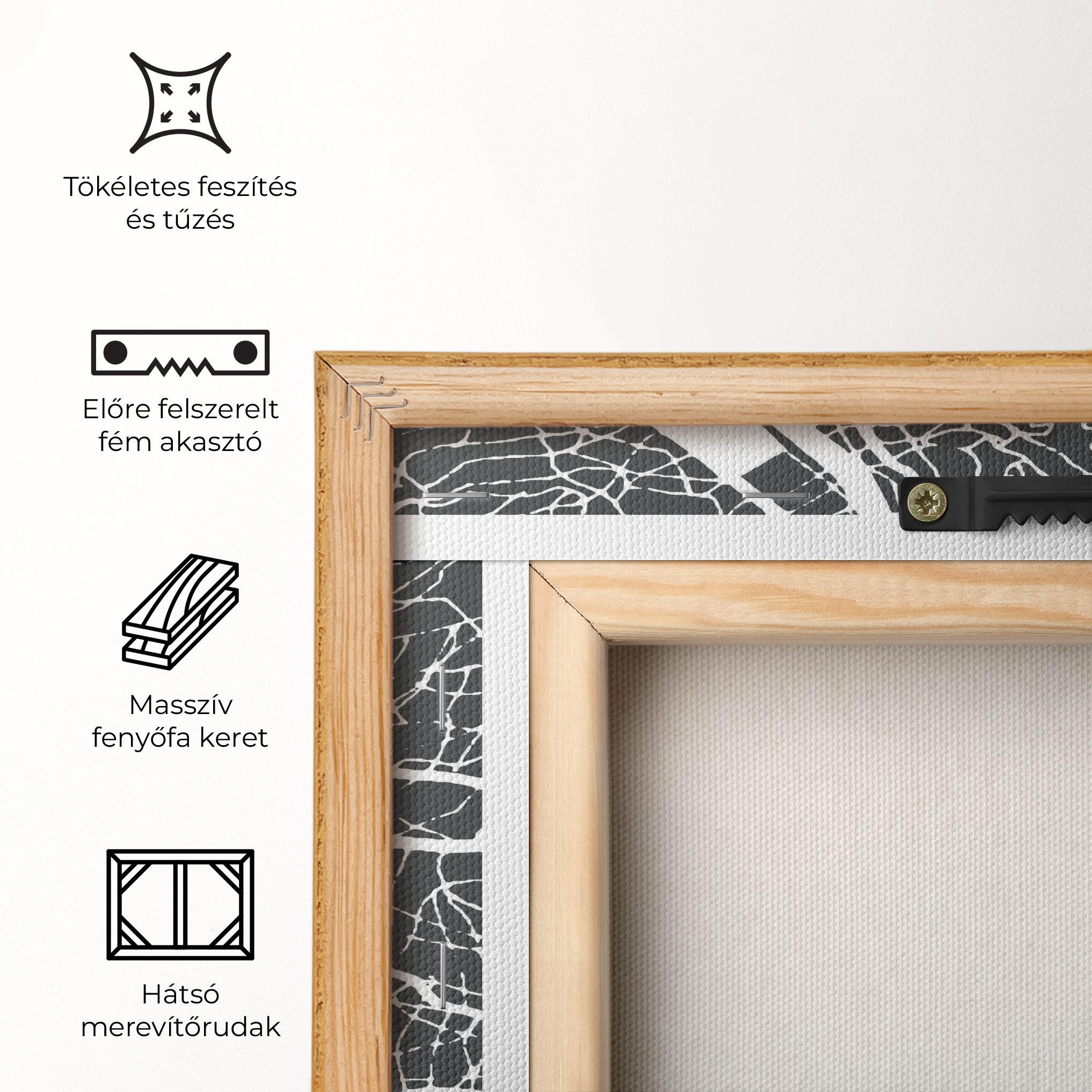 Vászonkép Genoa Map mockup 5