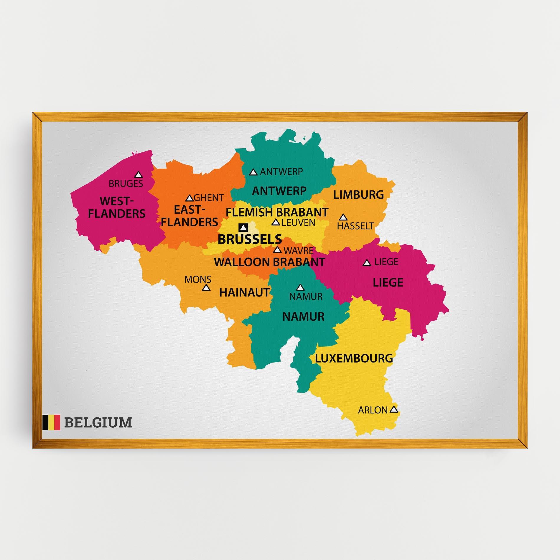 Vászonkép Belgium Color Map mockup 0